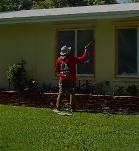 Licensed and insured professionals - Painting Services