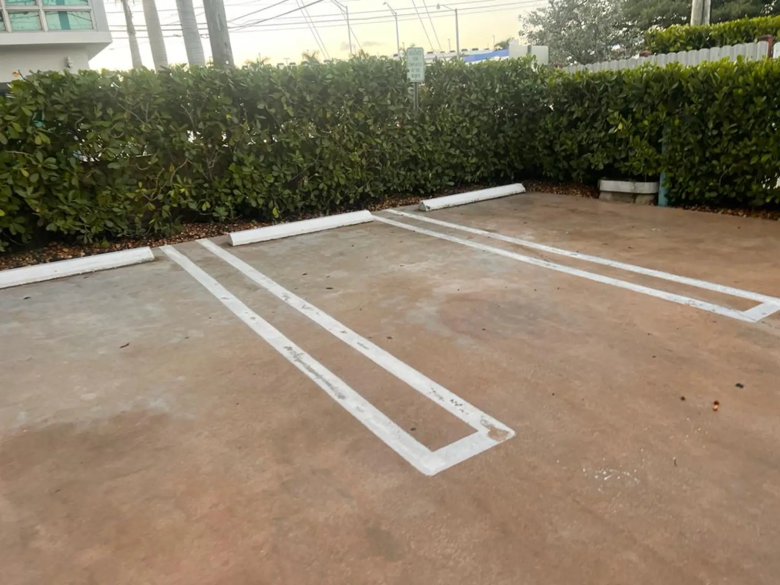 Commercial Property Pressure Washing, commercial pressure washing project photo 5