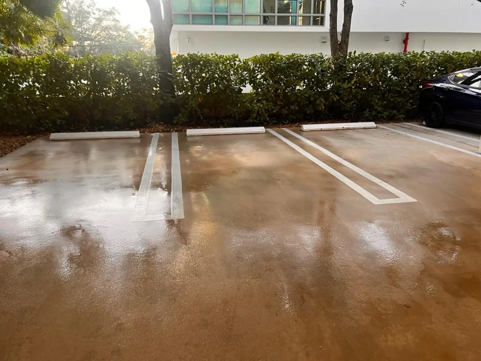 Commercial Property Pressure Washing, commercial pressure washing project photo 7