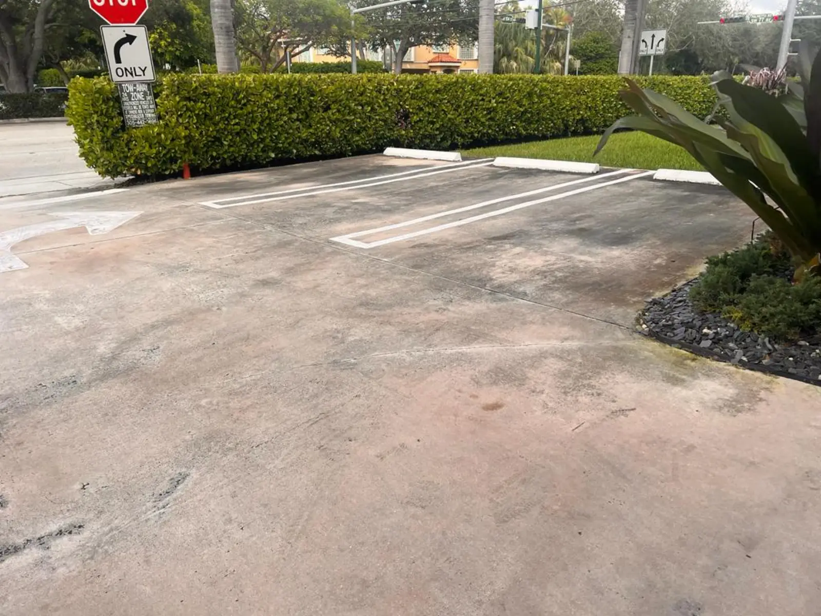 Commercial Property Pressure Washing, commercial pressure washing project photo 13