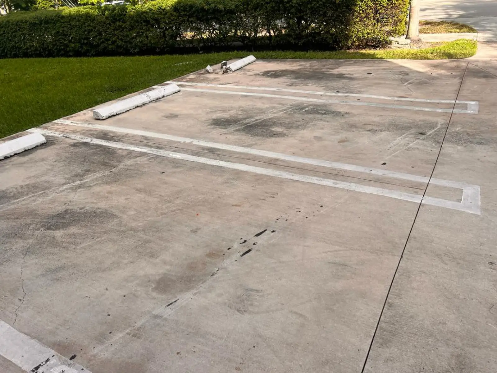 Commercial Property Pressure Washing, commercial pressure washing project photo 19