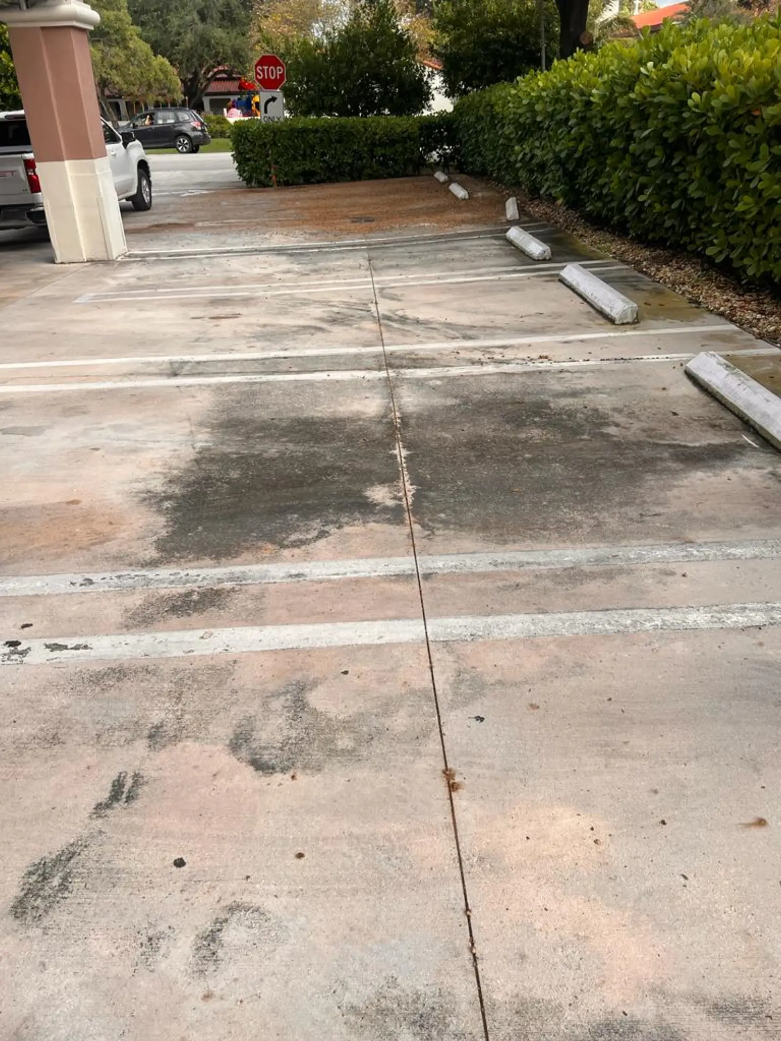 Commercial Property Pressure Washing, commercial pressure washing project photo 21