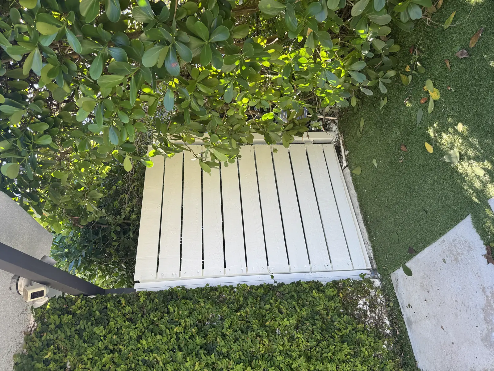 Wood Fence Repair and Painting, handyman services project photo 1