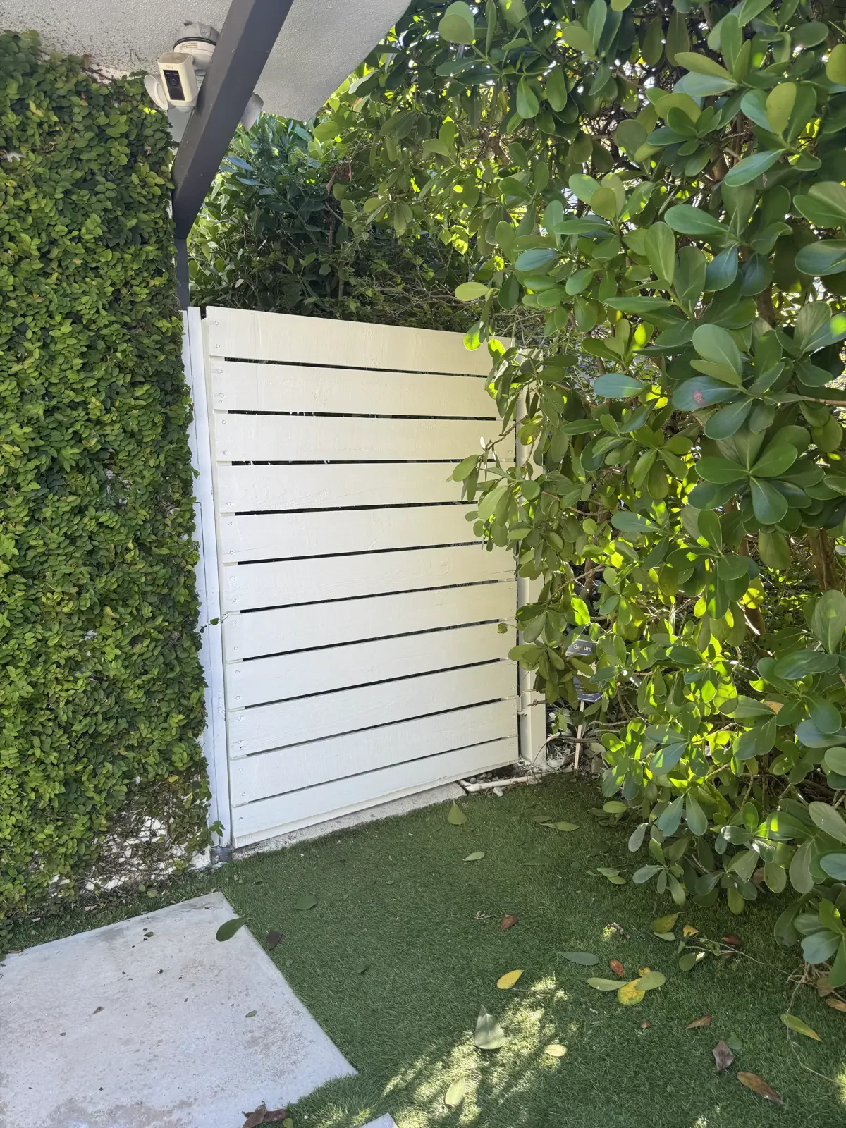 Wood Fence Repair and Painting, handyman services project photo 1