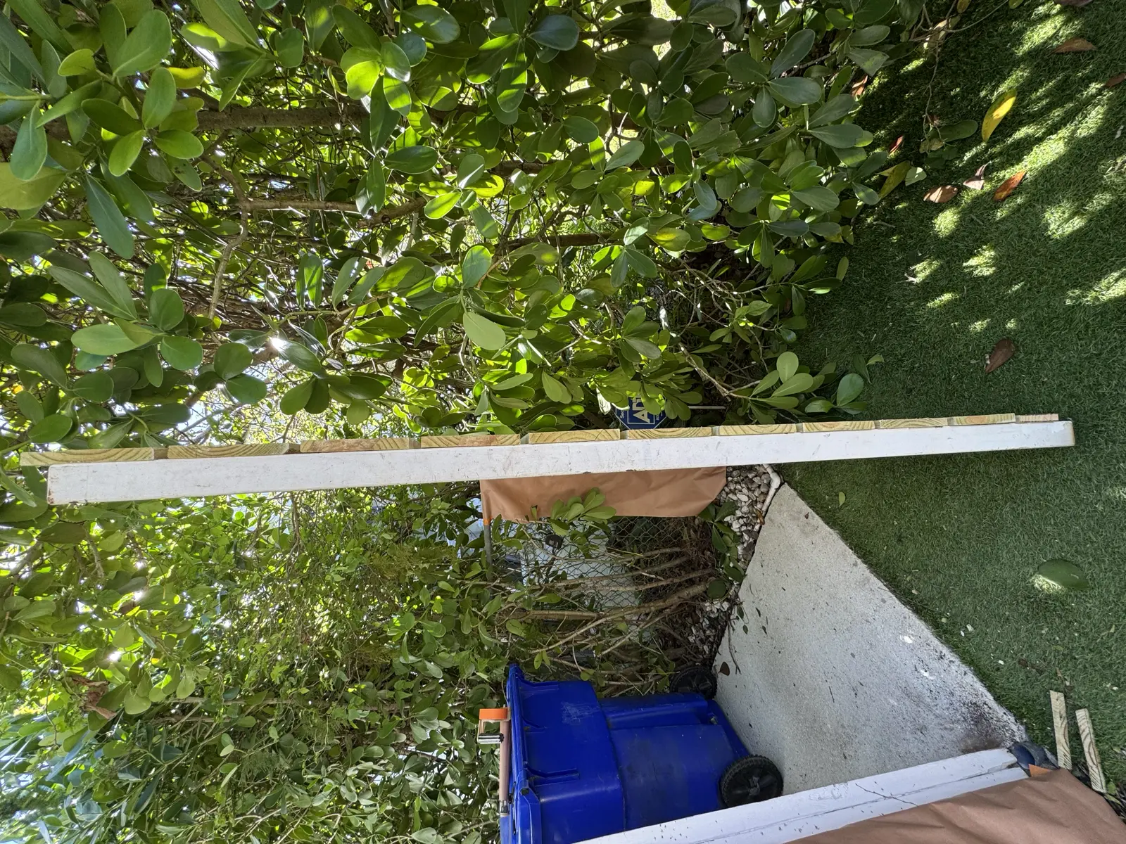 Wood Fence Repair and Painting, handyman services project photo 6