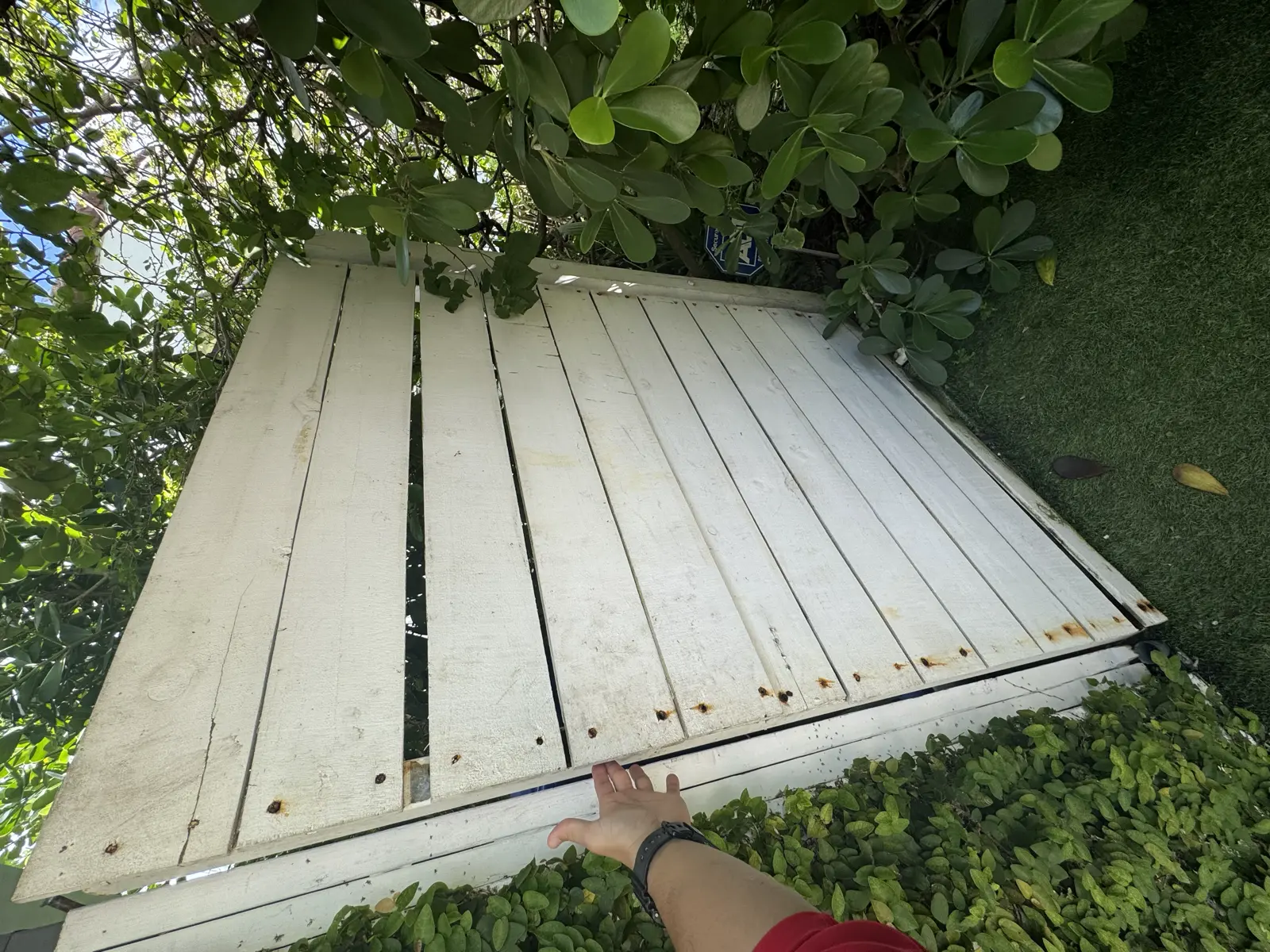 Wood Fence Repair and Painting, handyman services project photo 29