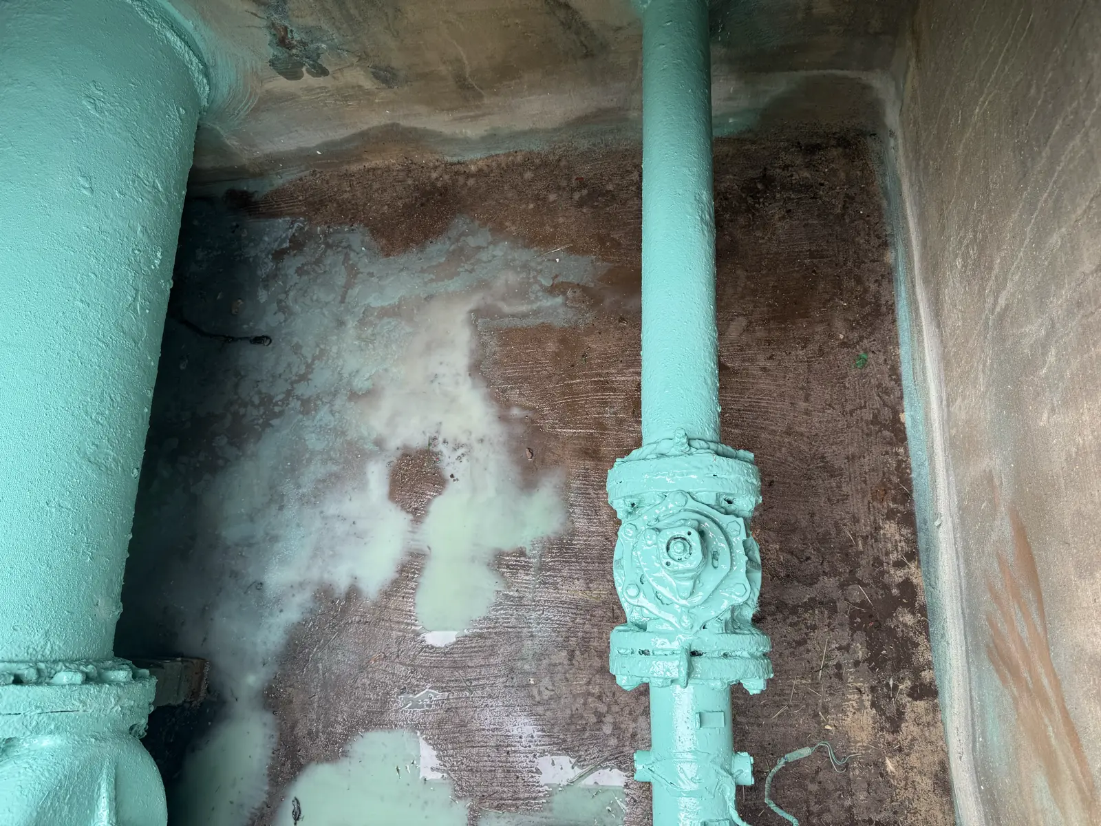 Residential and Commercial Painting Portfolio, painting services project photo 181