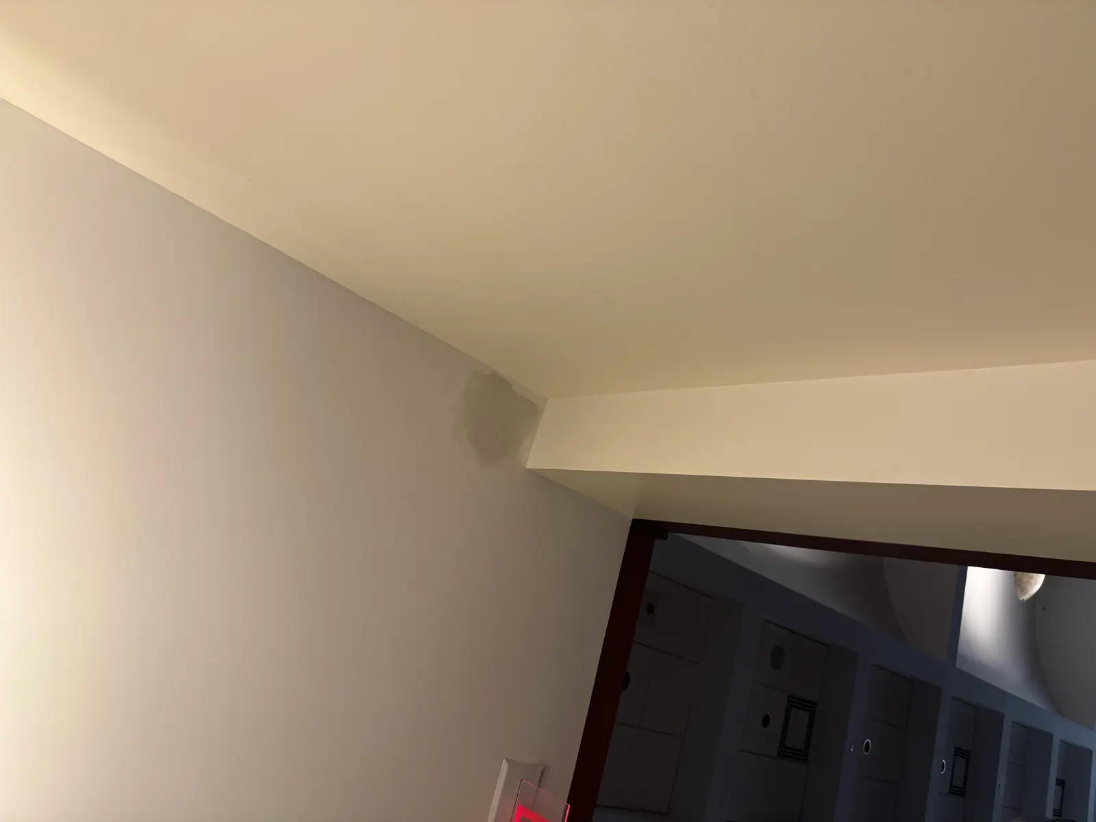 Residential and Commercial Painting Portfolio, painting services project photo 241
