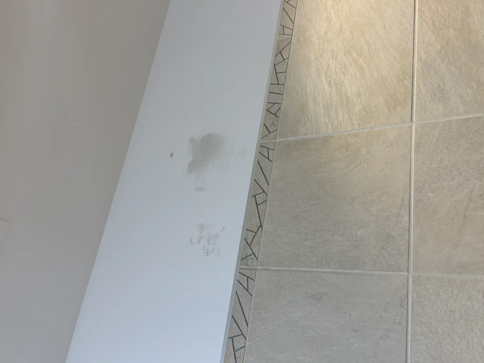 Residential and Commercial Painting Portfolio, painting services project photo 254