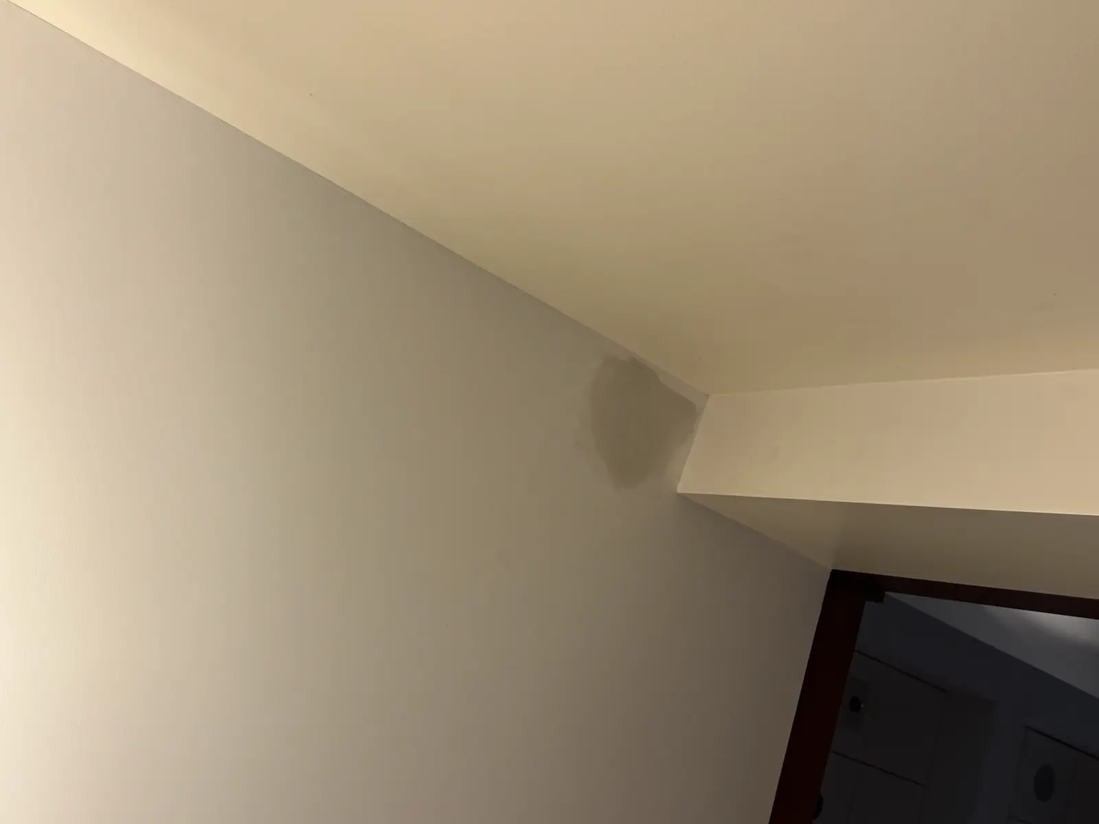 Residential and Commercial Painting Portfolio, painting services project photo 261