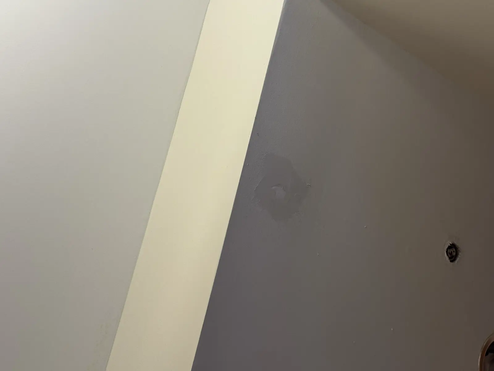 Residential and Commercial Painting Portfolio, painting services project photo 278
