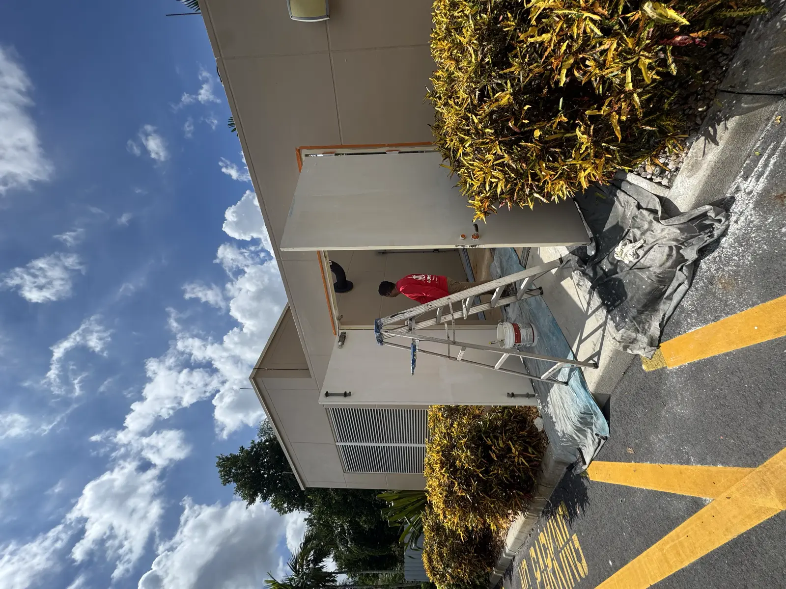 Residential and Commercial Painting Portfolio, painting services project photo 439