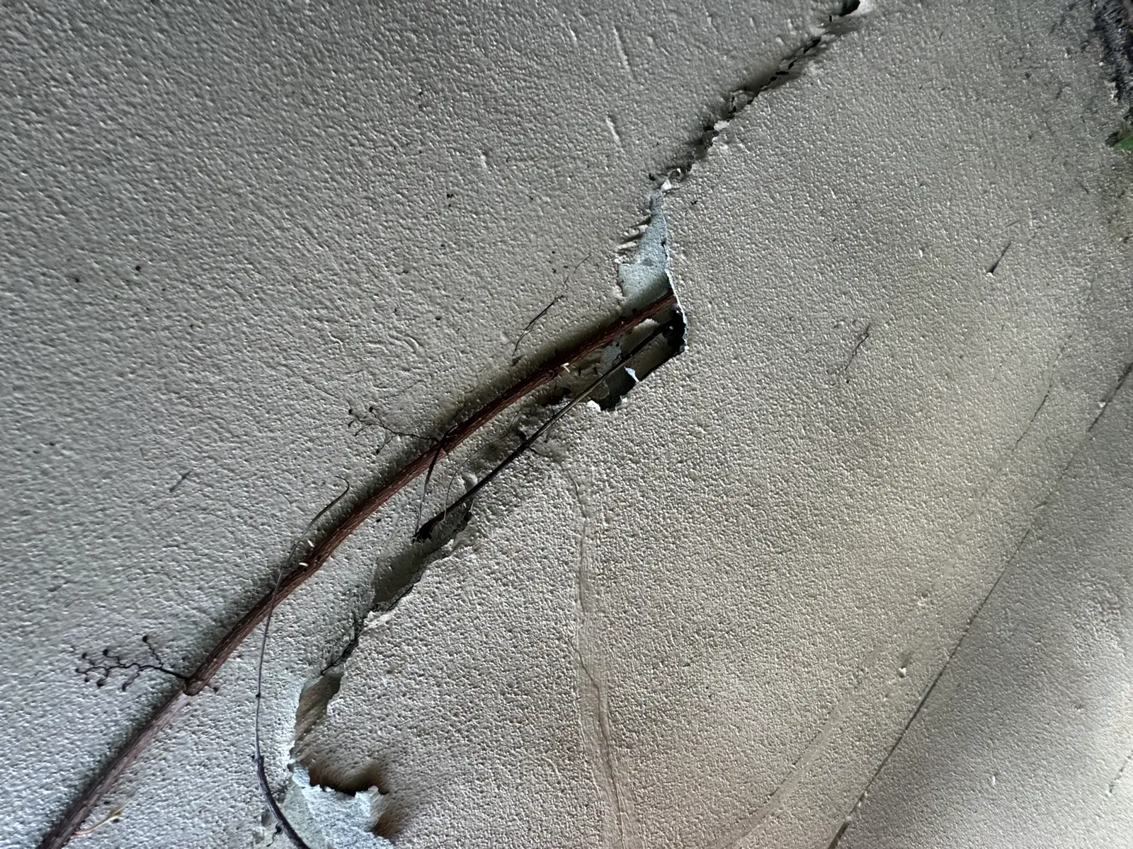 Residential and Commercial Painting Portfolio, painting services project photo 530