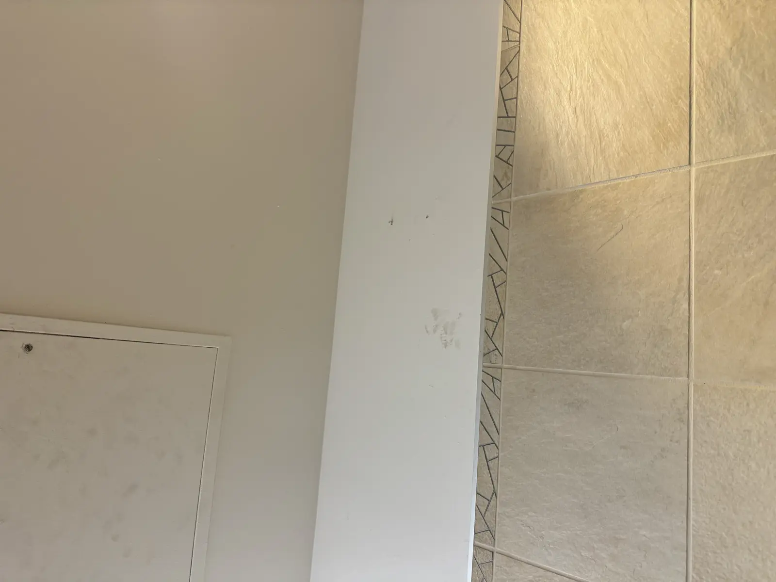 Residential and Commercial Painting Portfolio, painting services project photo 539