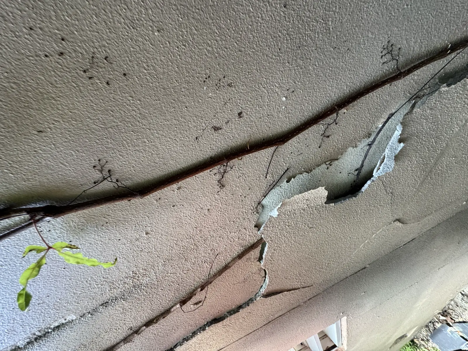Residential and Commercial Painting Portfolio, painting services project photo 542