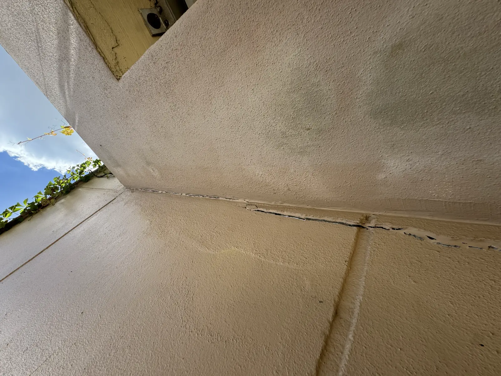 Residential and Commercial Painting Portfolio, painting services project photo 545