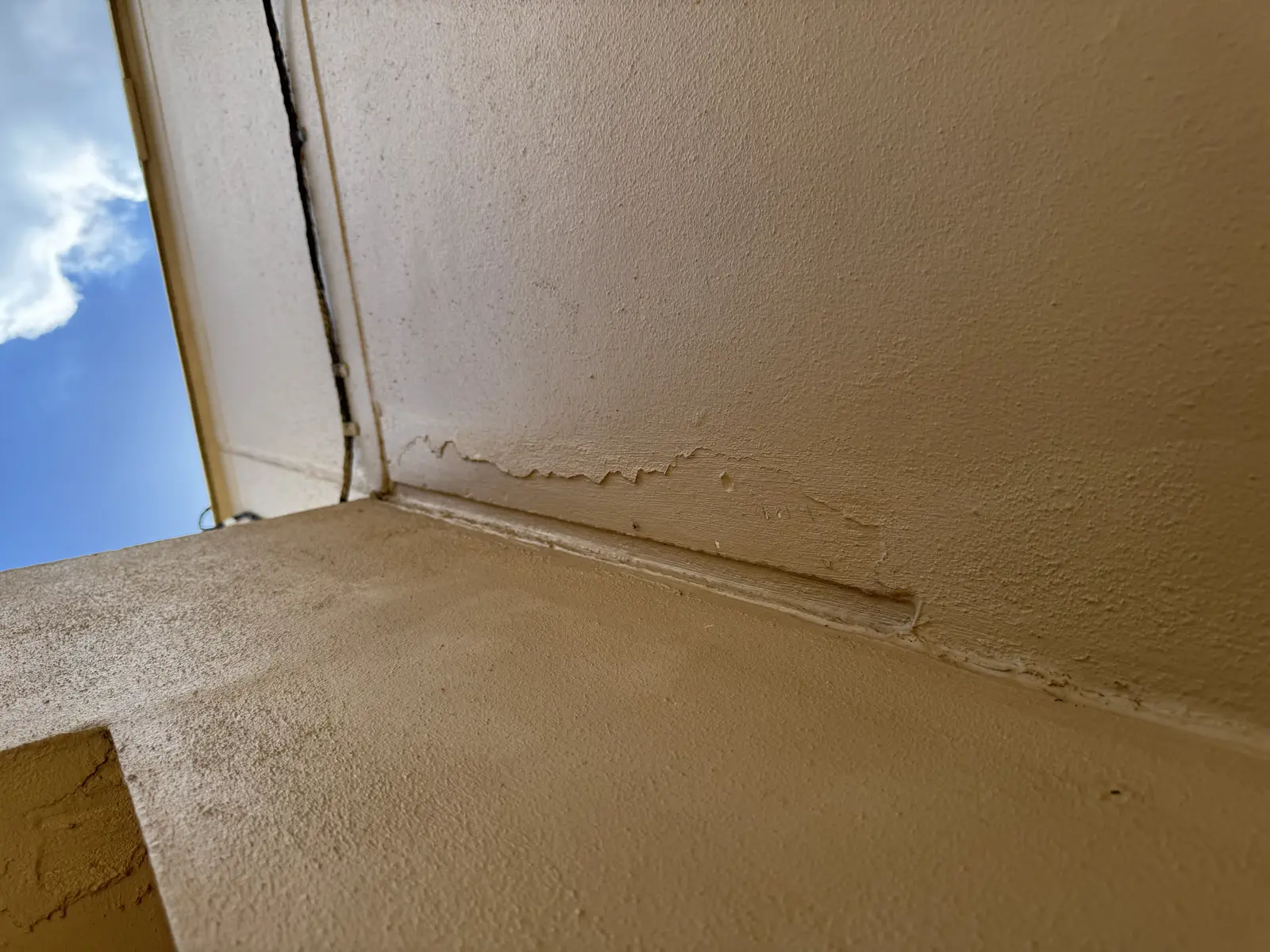 Residential and Commercial Painting Portfolio, painting services project photo 551