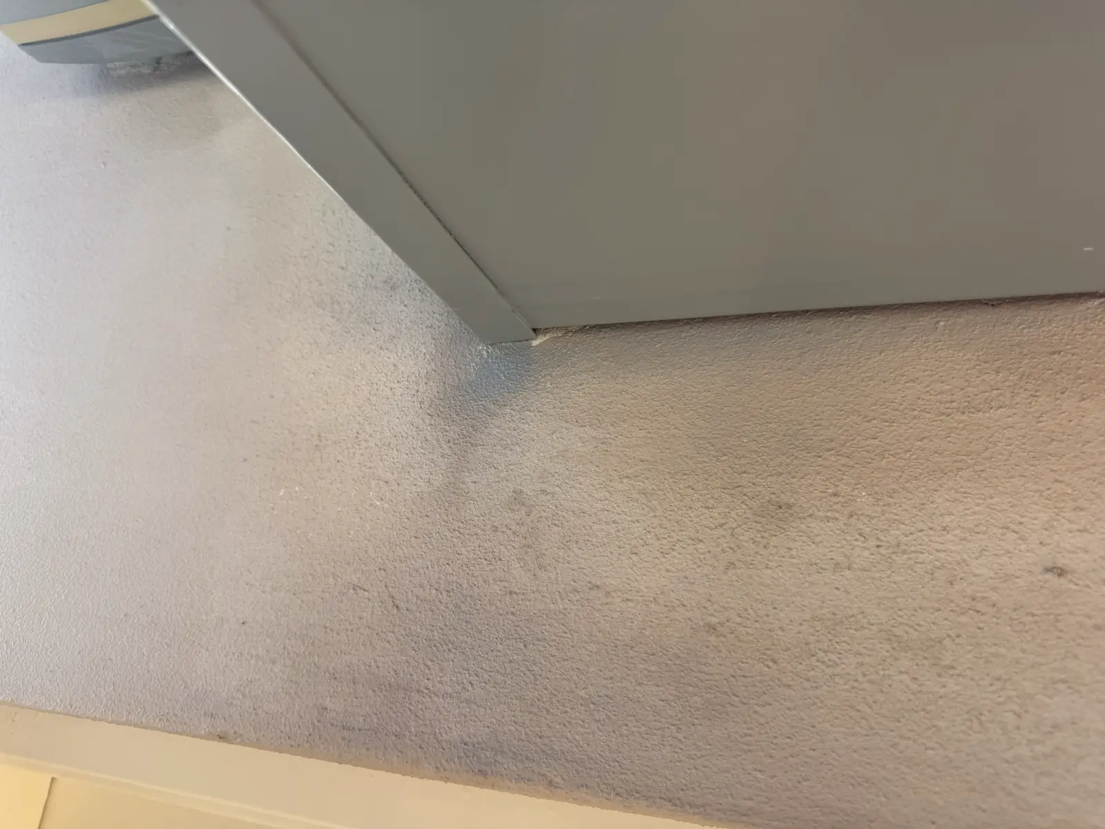 Residential and Commercial Painting Portfolio, painting services project photo 555