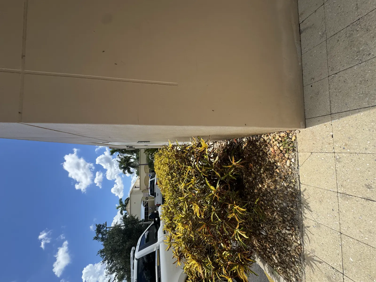 Residential and Commercial Painting Portfolio, painting services project photo 556