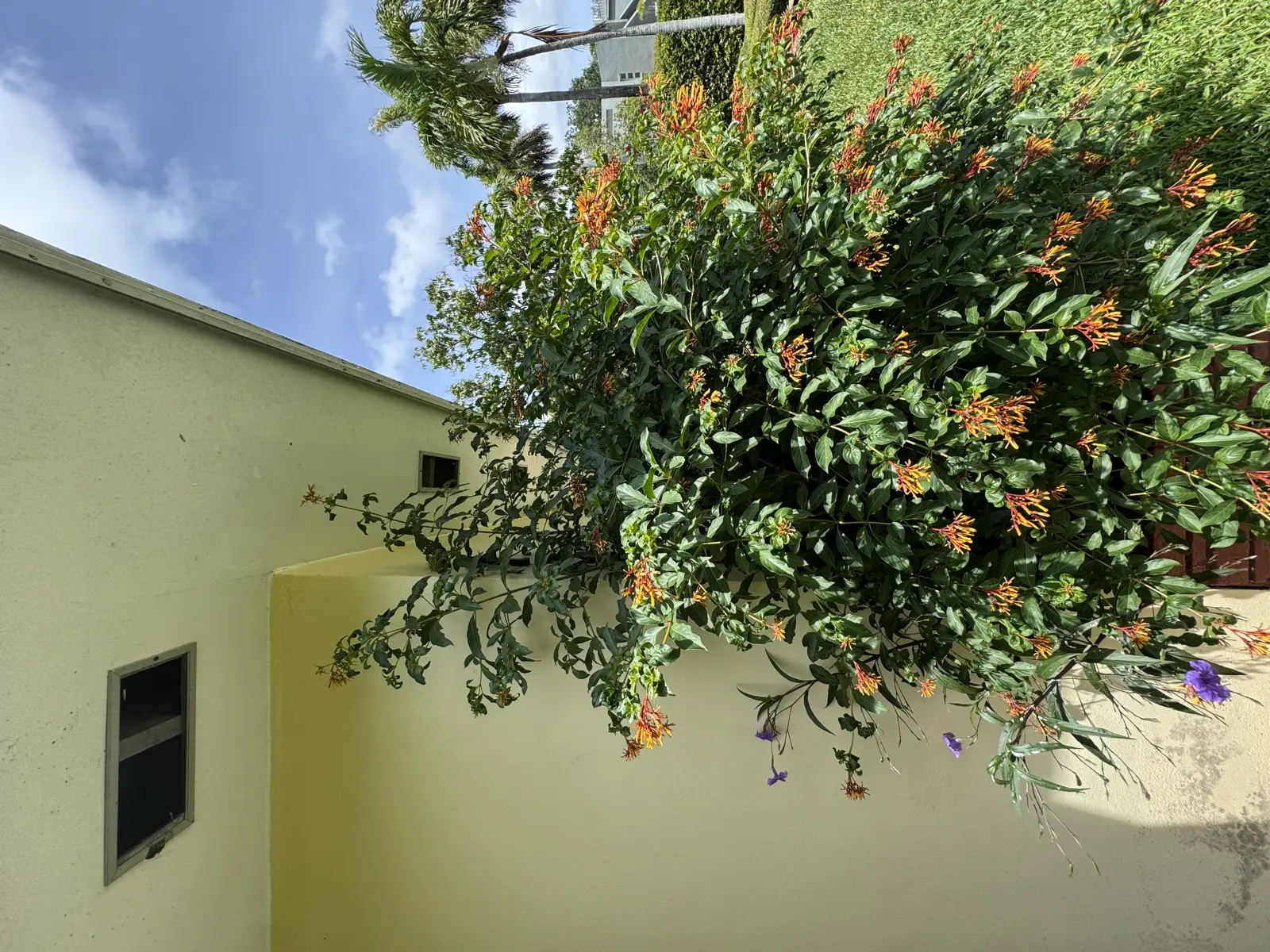 Residential and Commercial Painting Portfolio, painting services project photo 761