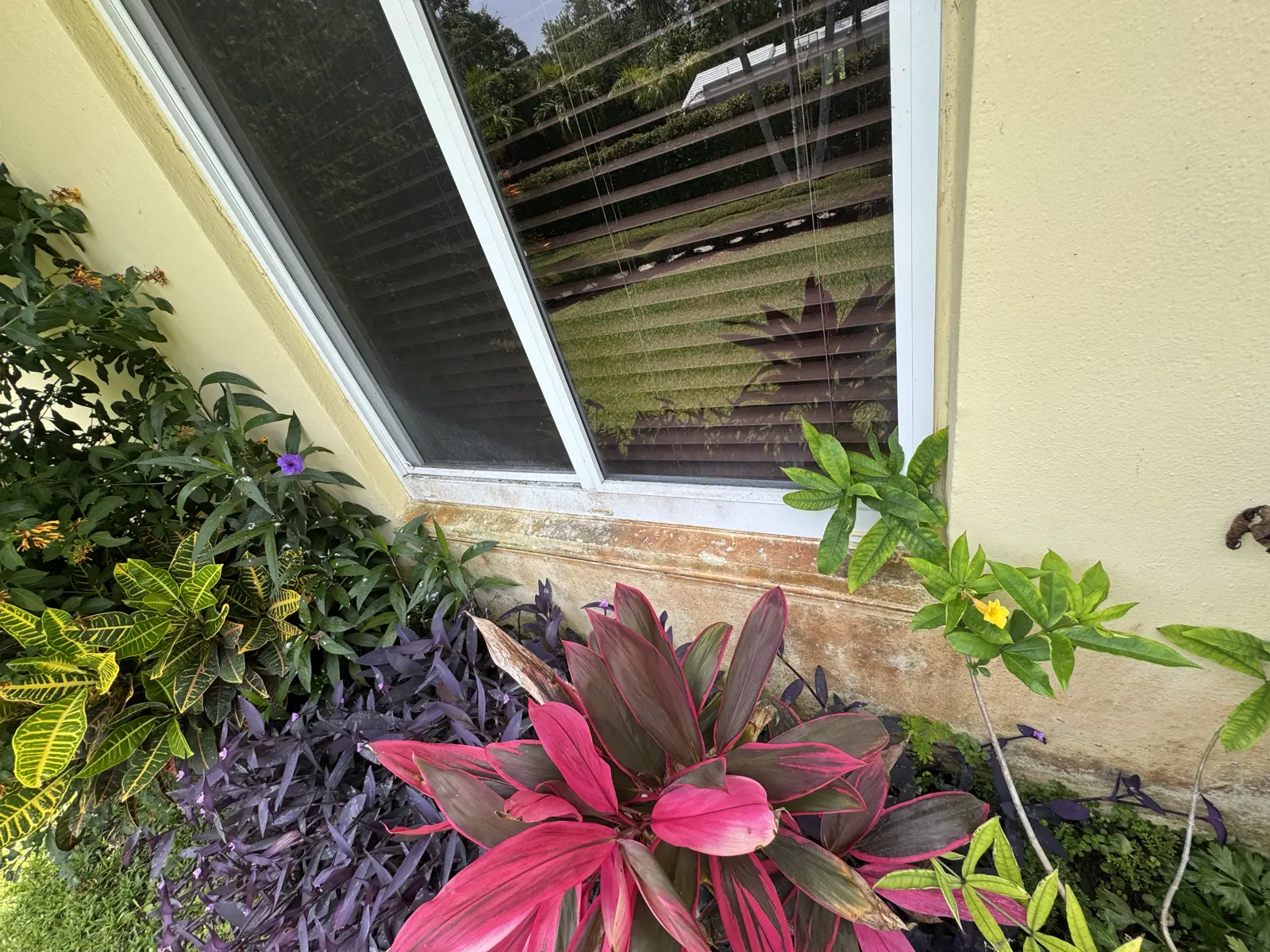 Residential and Commercial Painting Portfolio, painting services project photo 763