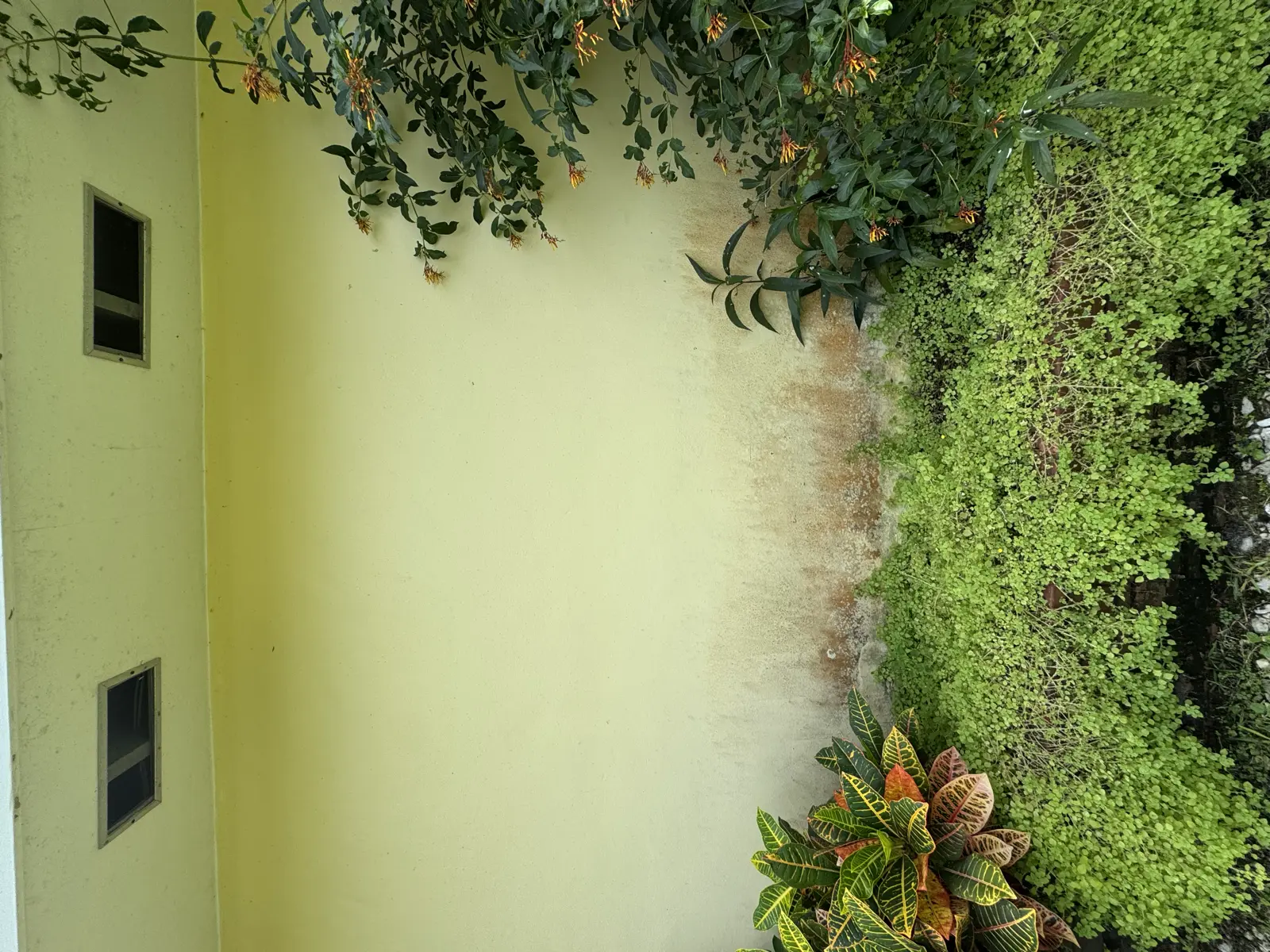 Residential and Commercial Painting Portfolio, painting services project photo 765
