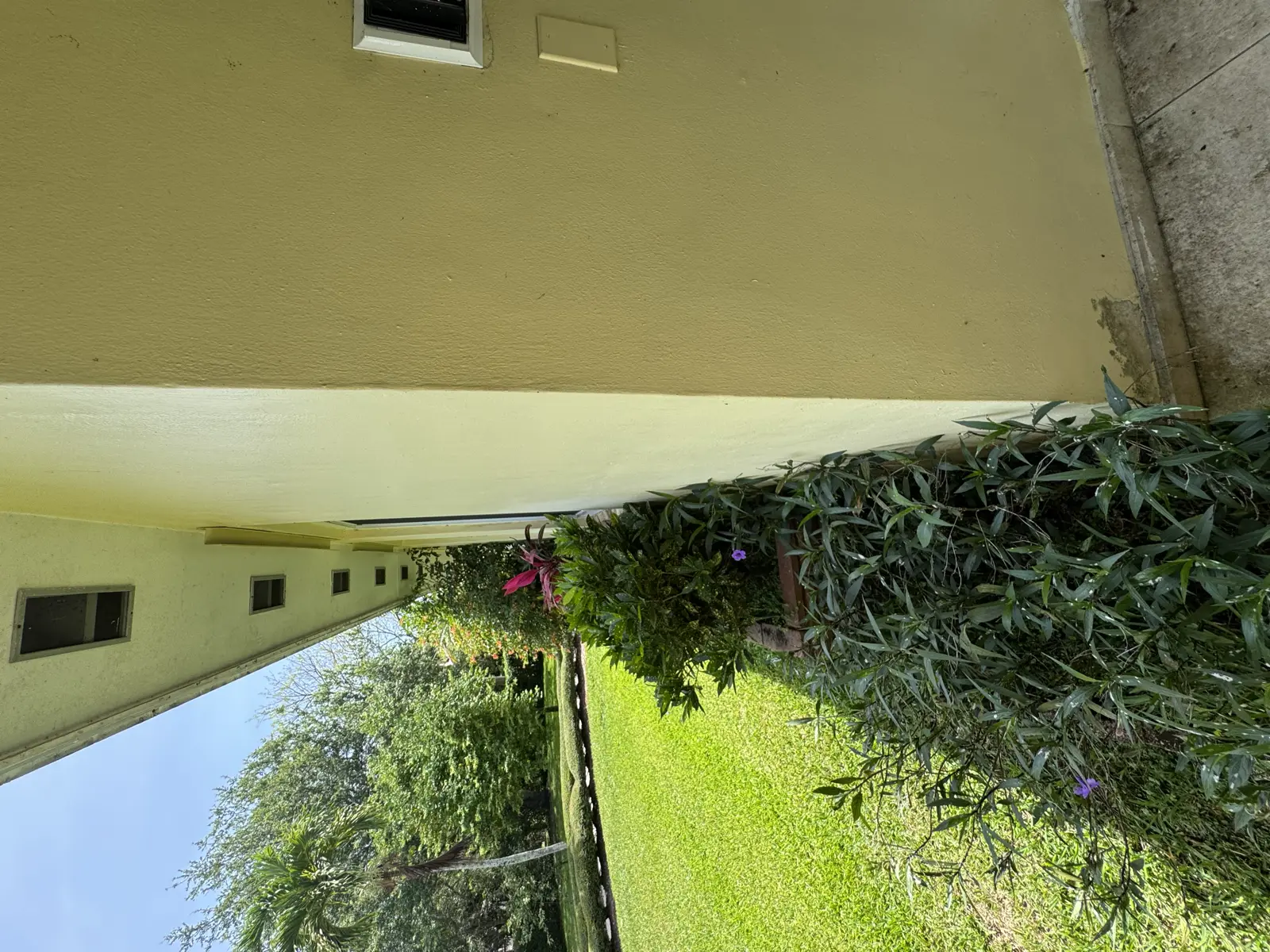 Residential and Commercial Painting Portfolio, painting services project photo 767