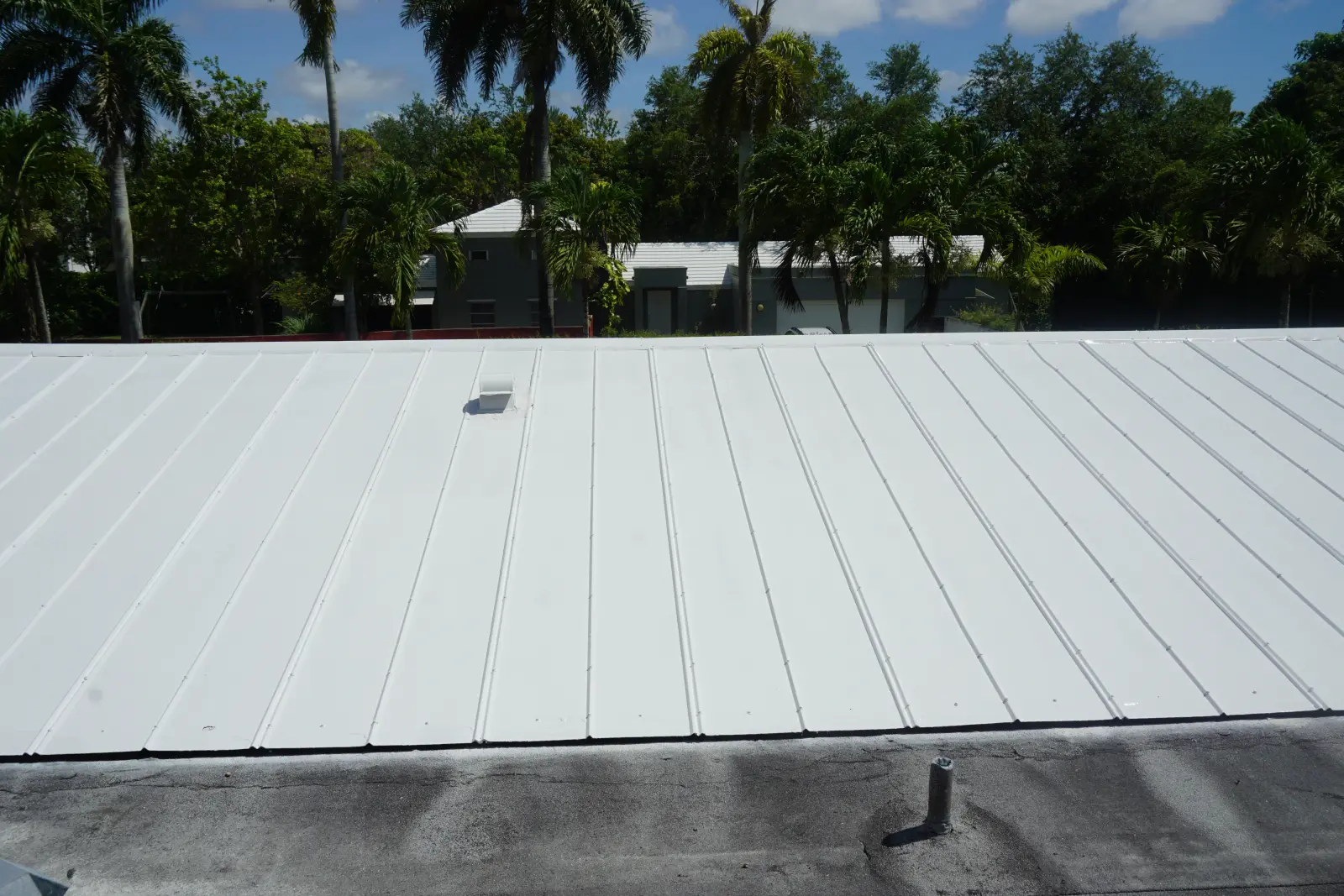 Residential and Commercial Painting Portfolio, painting services project photo 913