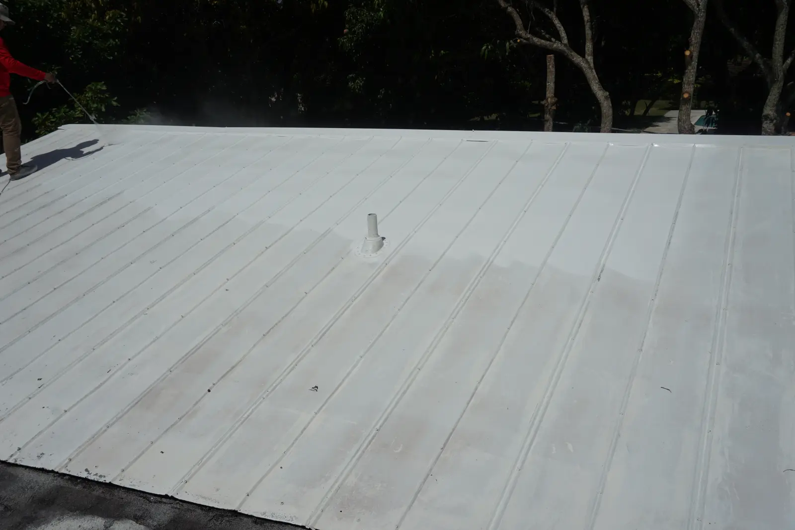 Residential and Commercial Painting Portfolio, painting services project photo 914