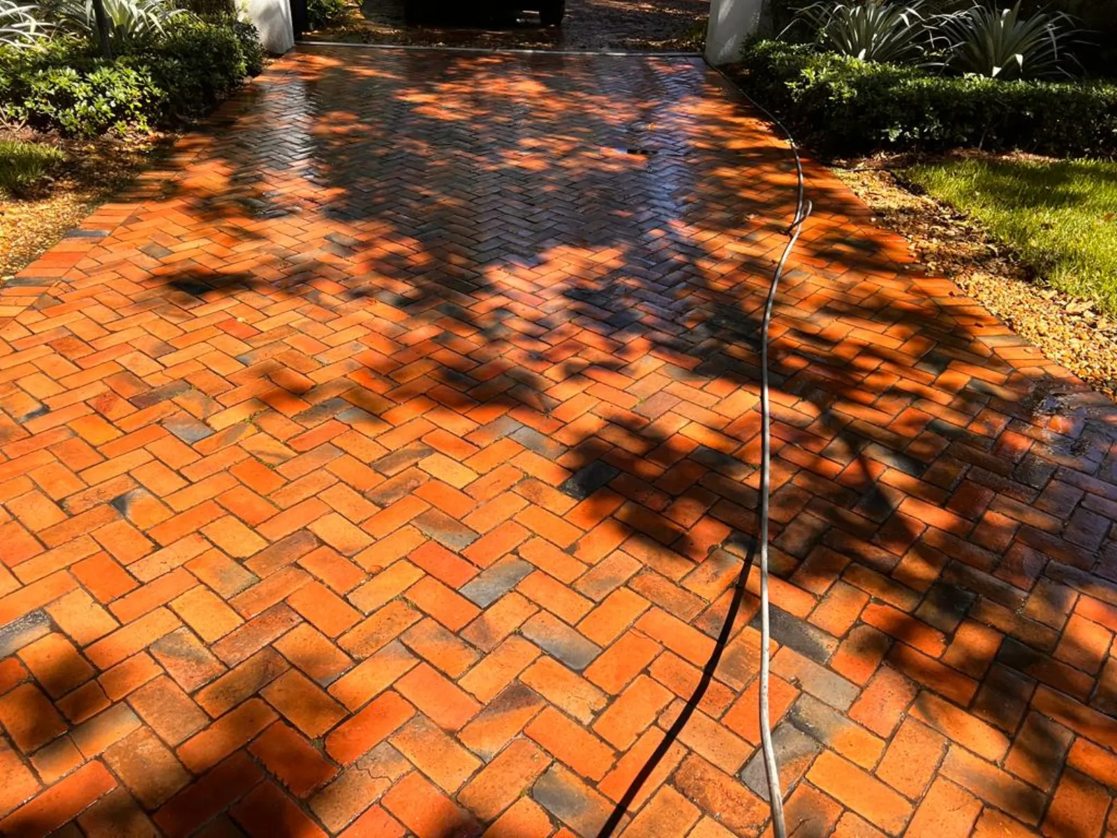 Pinecrest driveway cleaning and pool deck pressure washing project by Lumens Painting