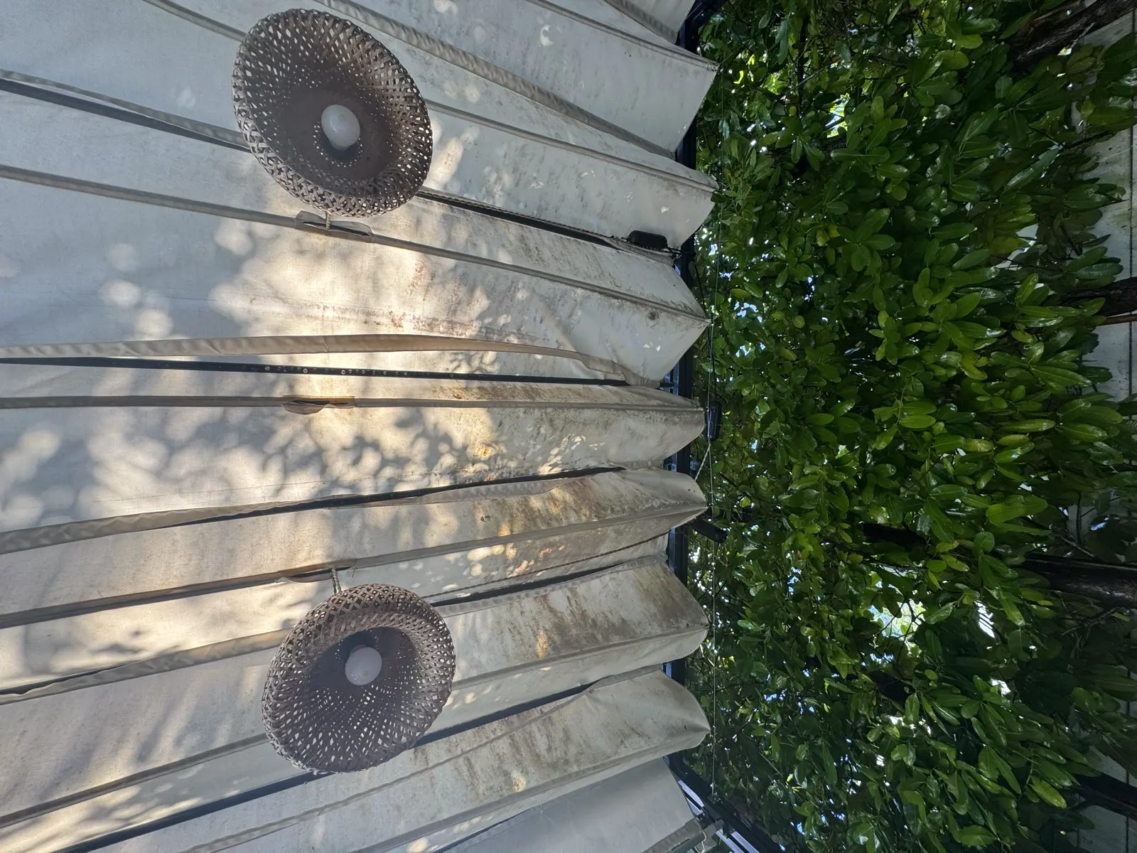 Pressure Washing Project Portfolio, pressure washing project photo 123