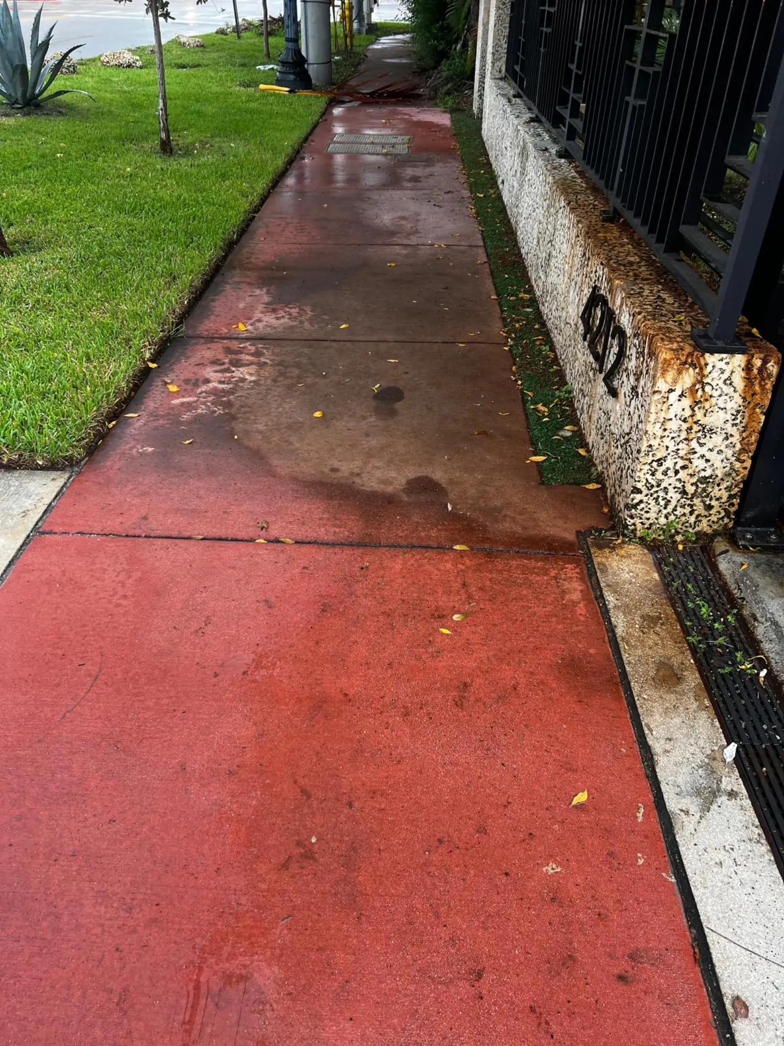 Pressure Washing Project Portfolio, pressure washing project photo 237