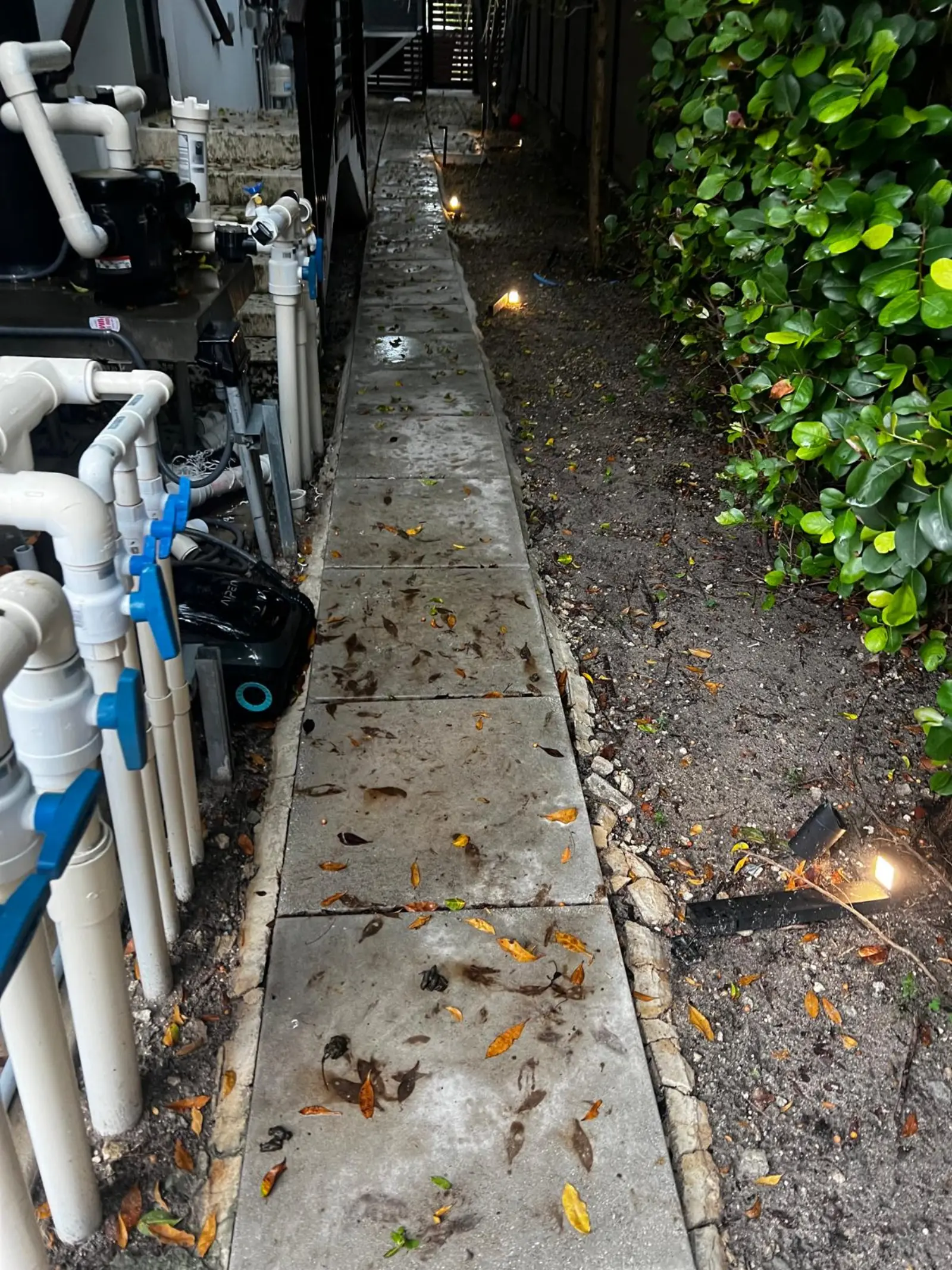 Pressure Washing Project Portfolio, pressure washing project photo 240
