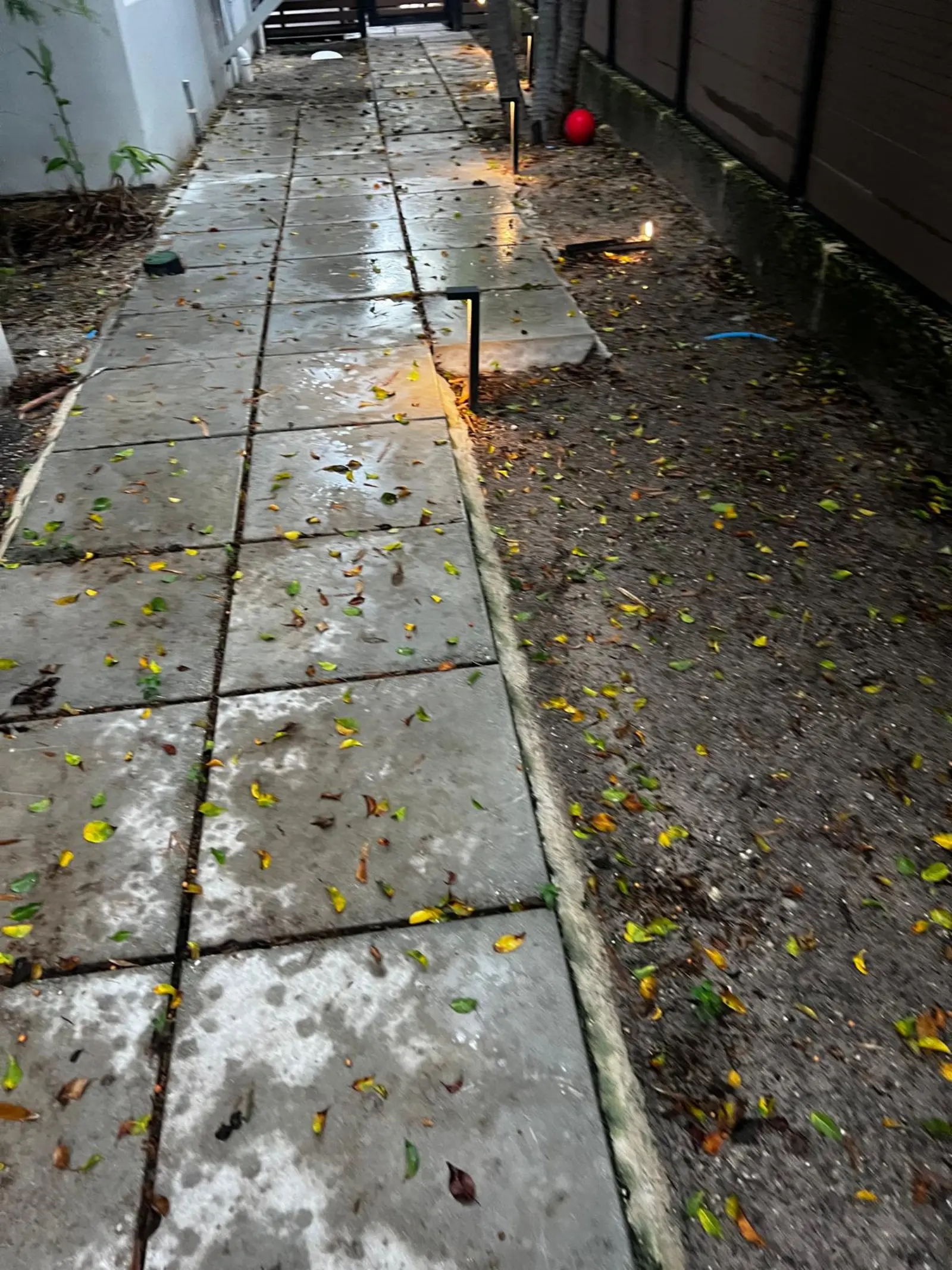 Pressure Washing Project Portfolio, pressure washing project photo 247