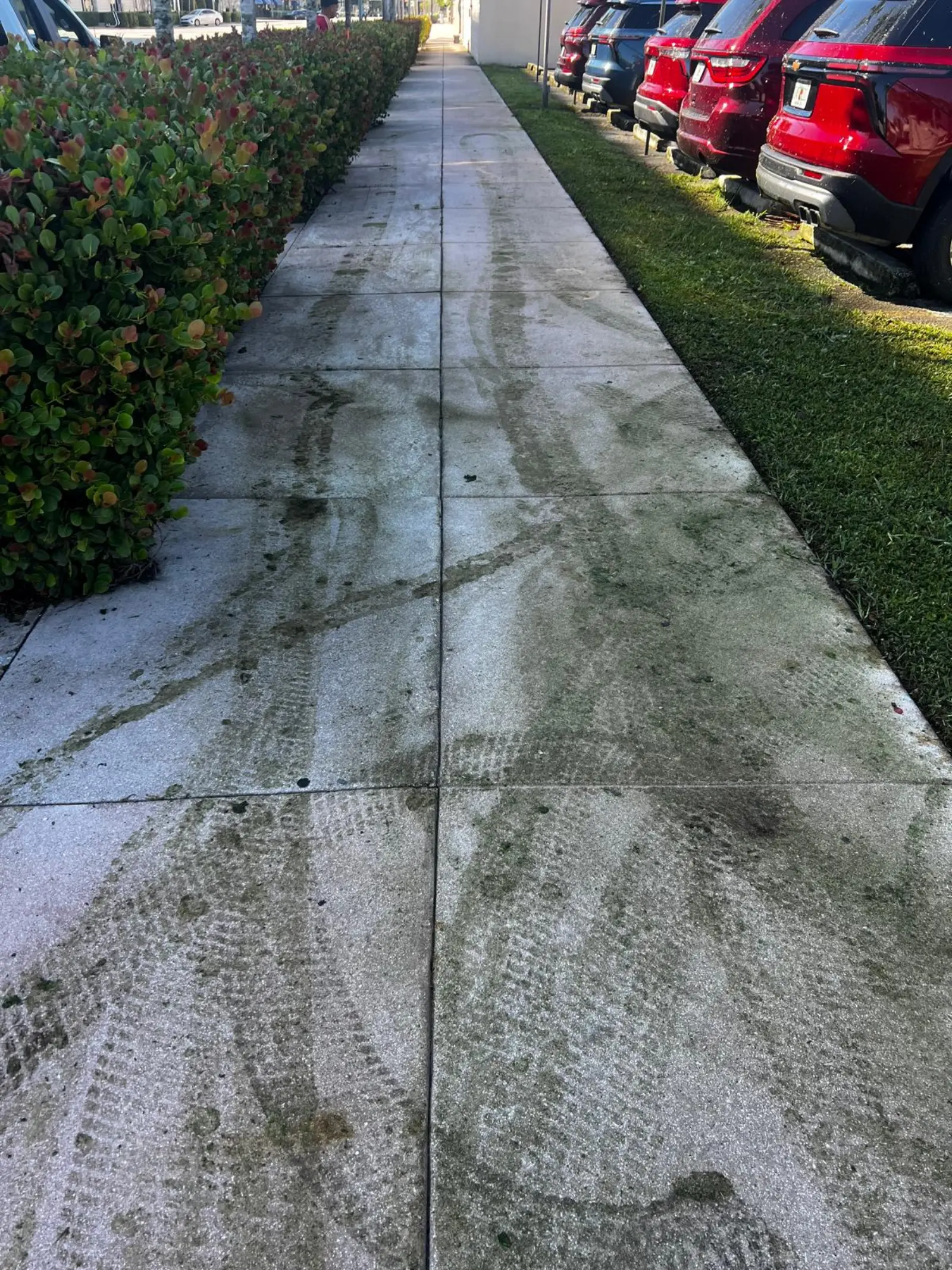 Pressure Washing Project Portfolio, pressure washing project photo 270