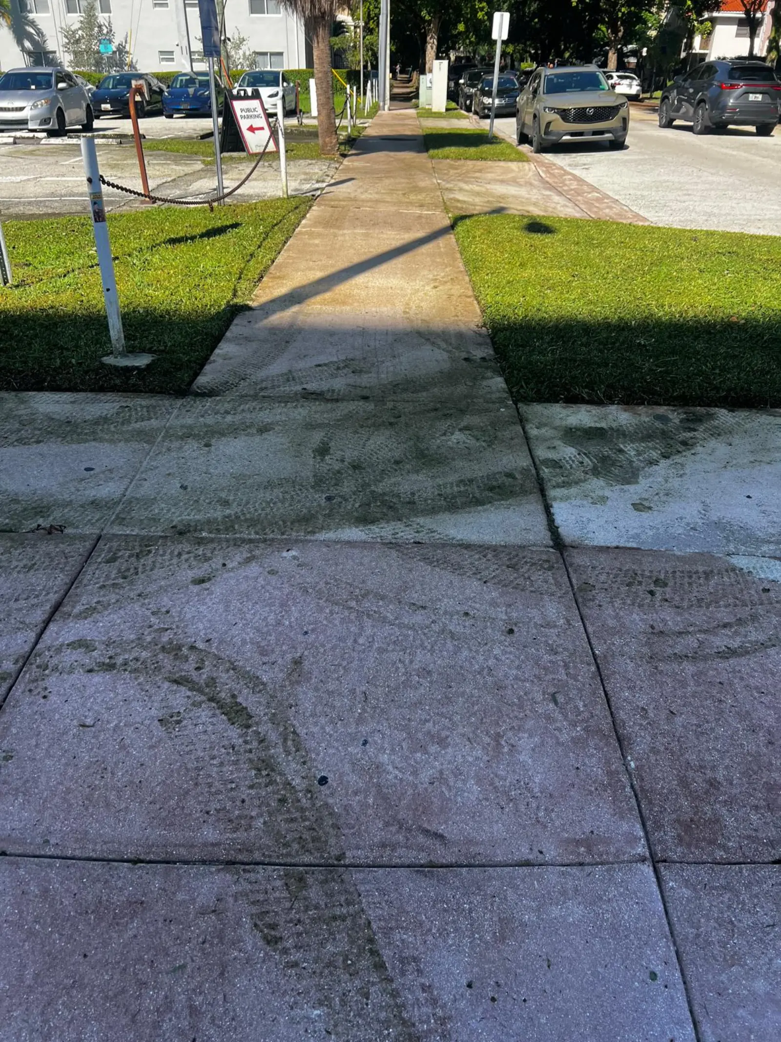 Pressure Washing Project Portfolio, pressure washing project photo 273