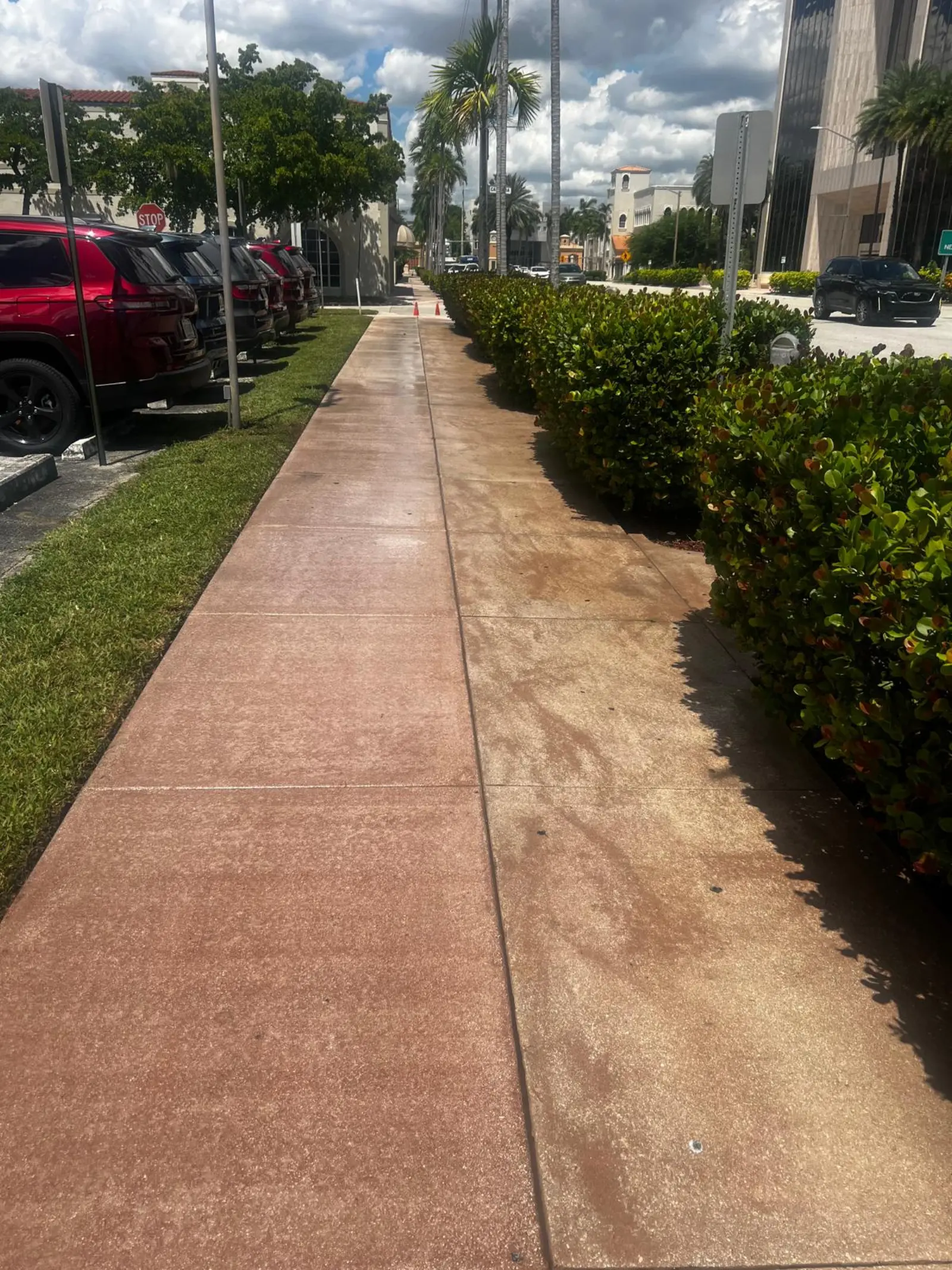 Pressure Washing Project Portfolio, pressure washing project photo 275