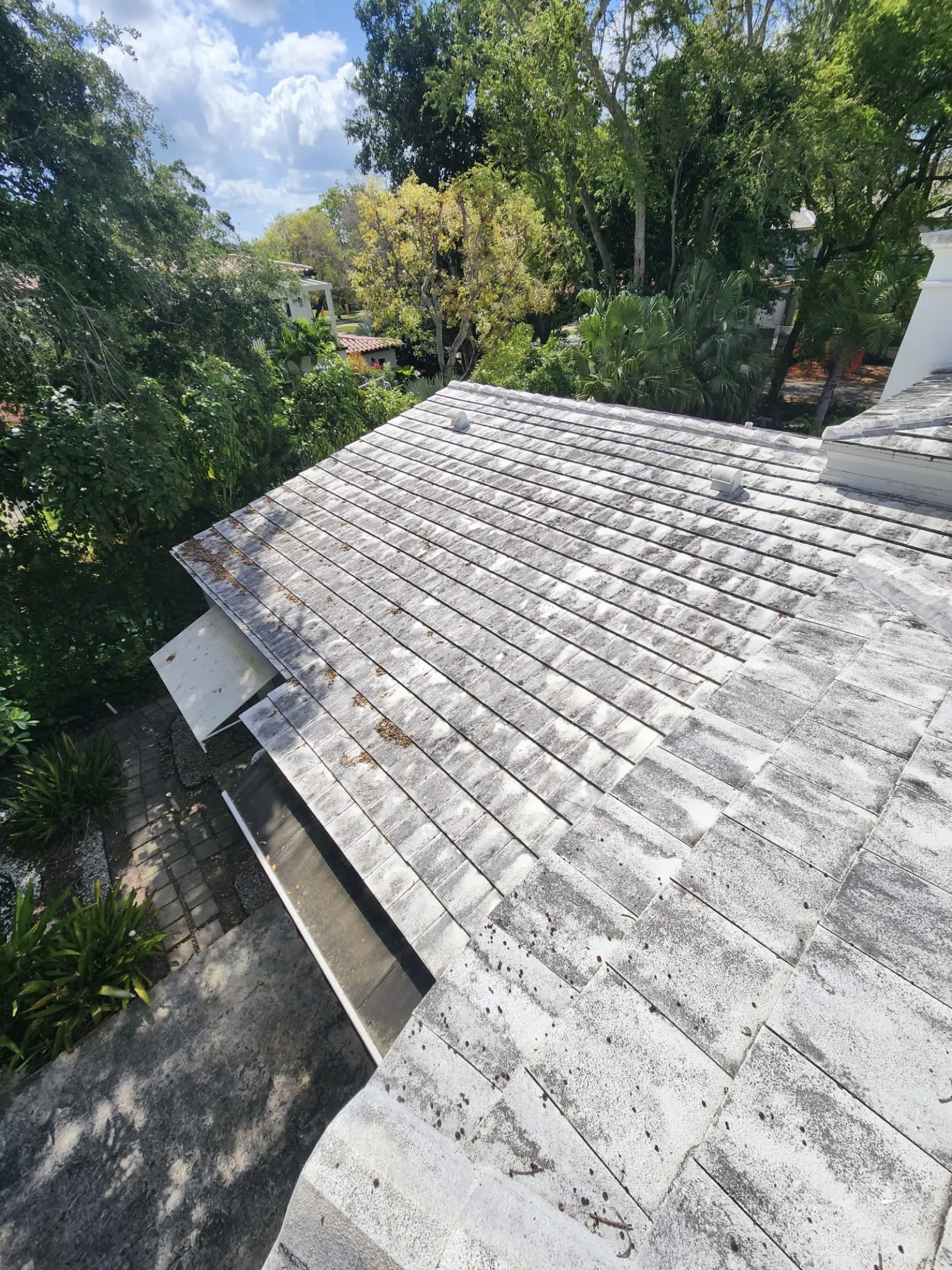 Pressure Washing Project Portfolio, pressure washing project photo 602