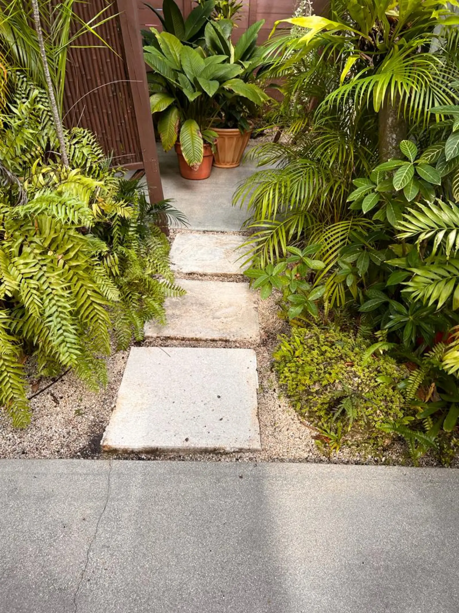 Patio and Paver Pressure Washing, pressure washing project photo 1