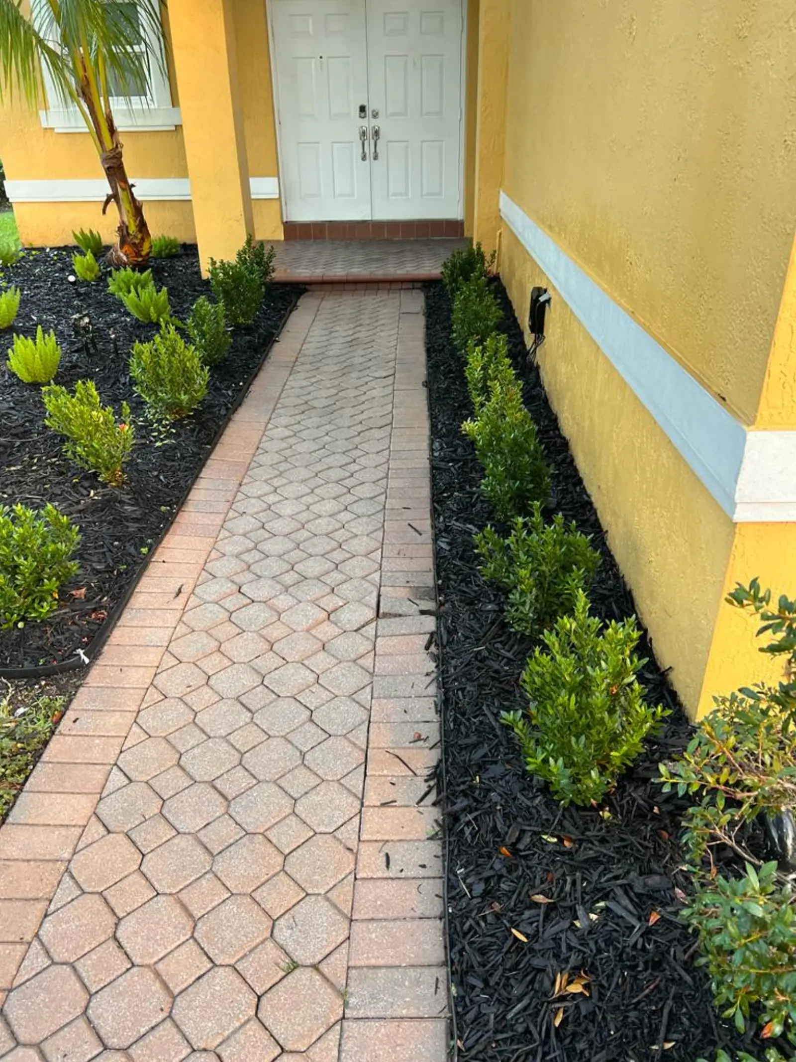 Residential Paver Pressure Washing, pressure washing project photo 2