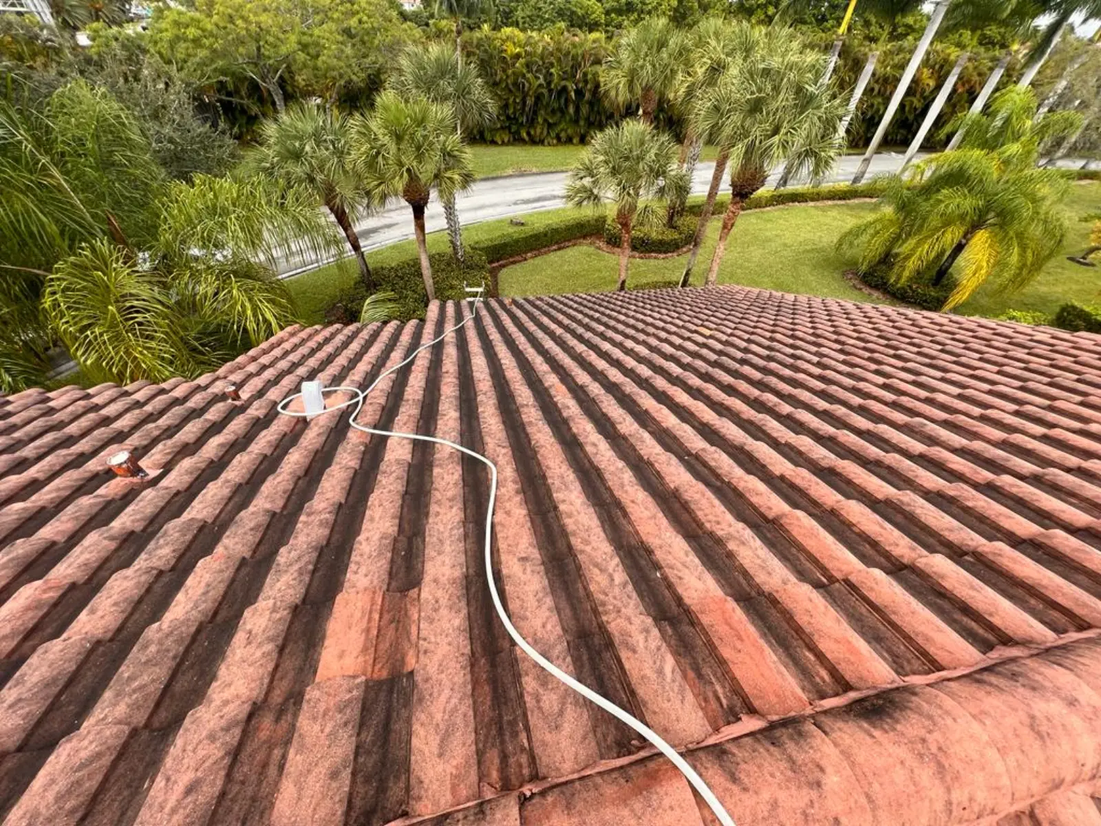 Residential Paver Pressure Washing, pressure washing project photo 9
