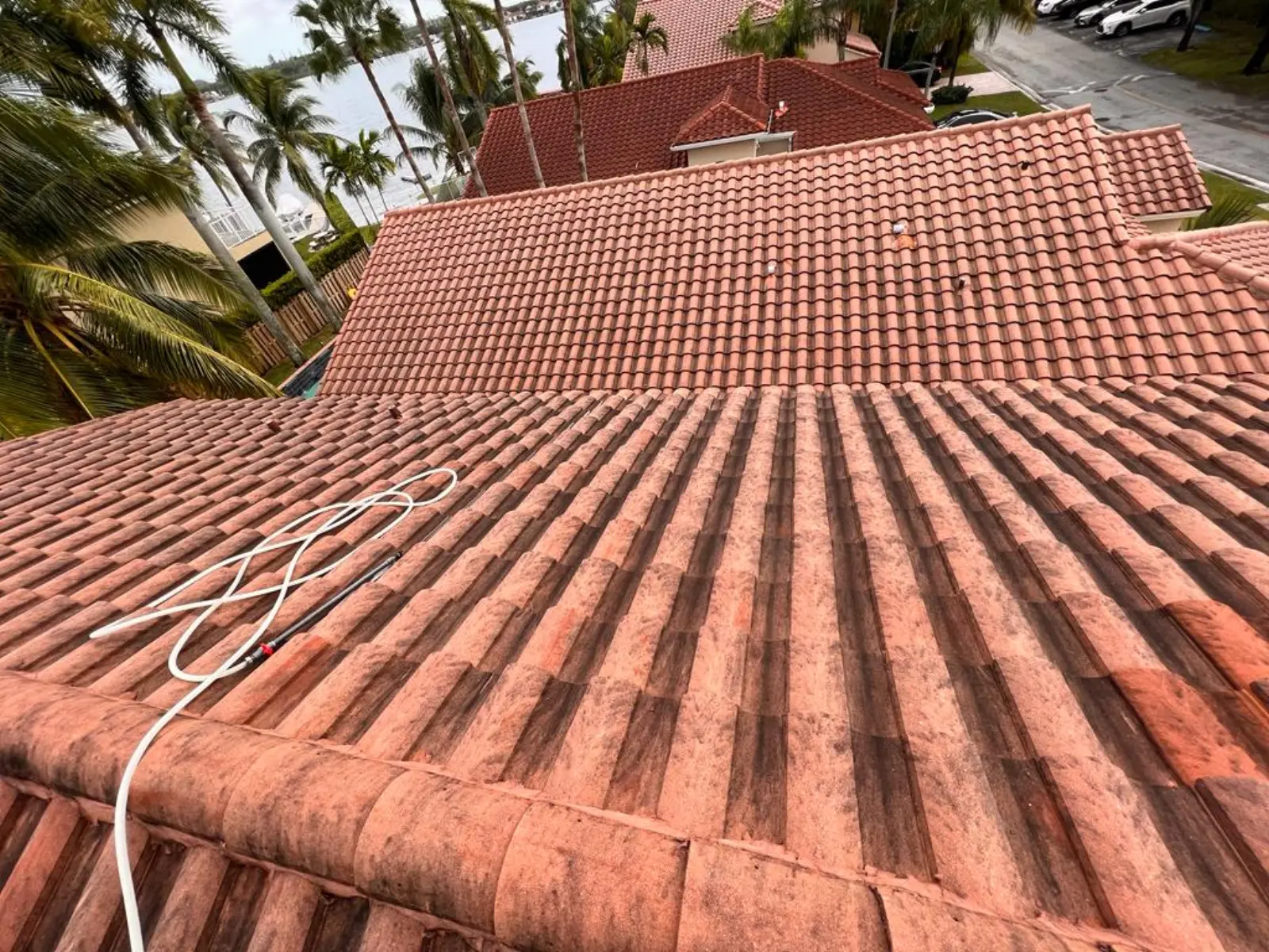 Residential Paver Pressure Washing, pressure washing project photo 14