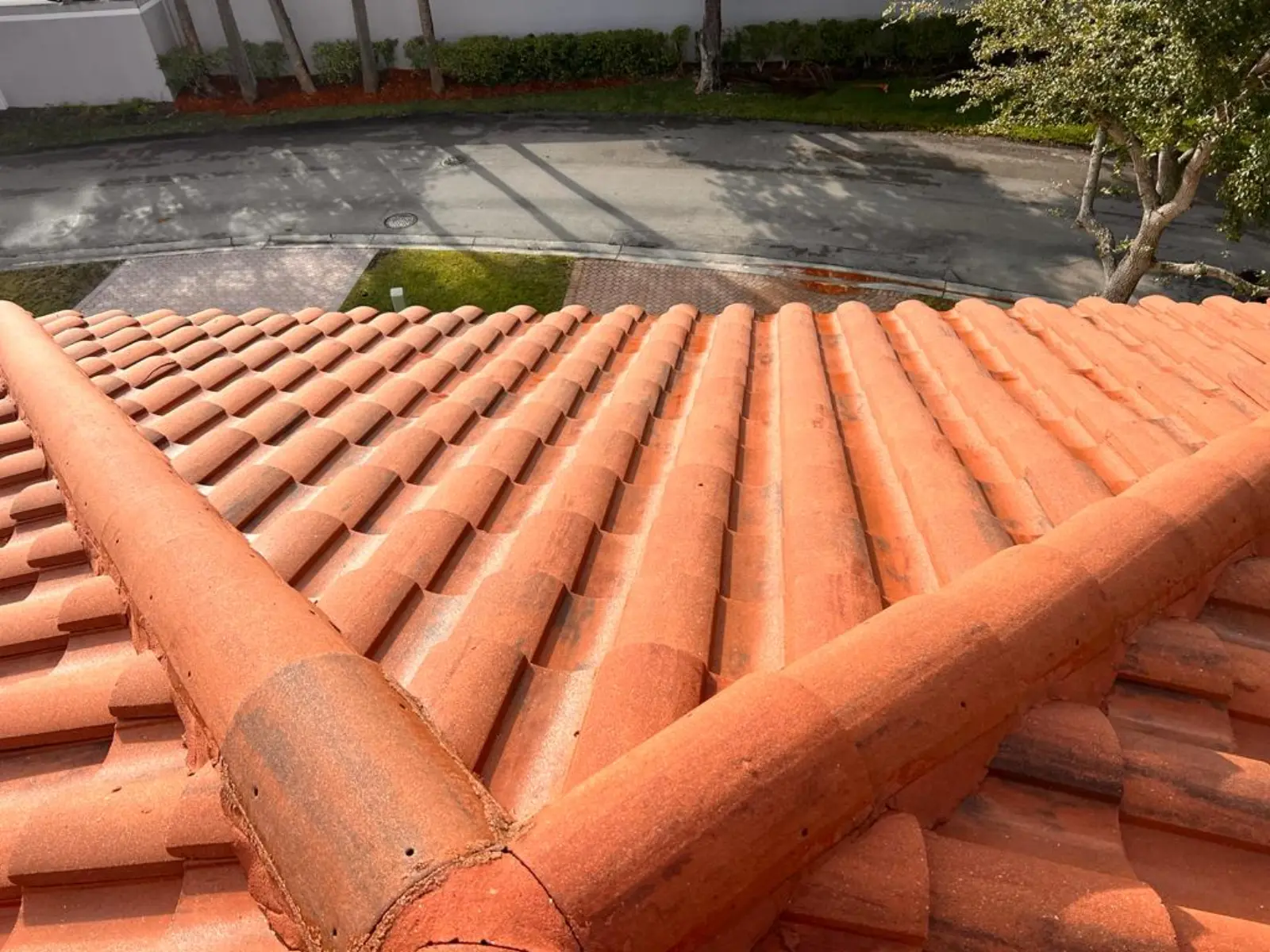 Residential Paver Pressure Washing, pressure washing project photo 15