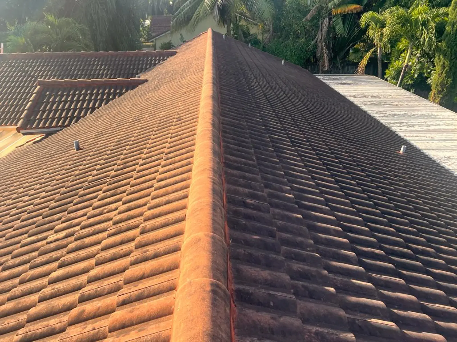 Residential Roof Pressure Washing, pressure washing project photo 5
