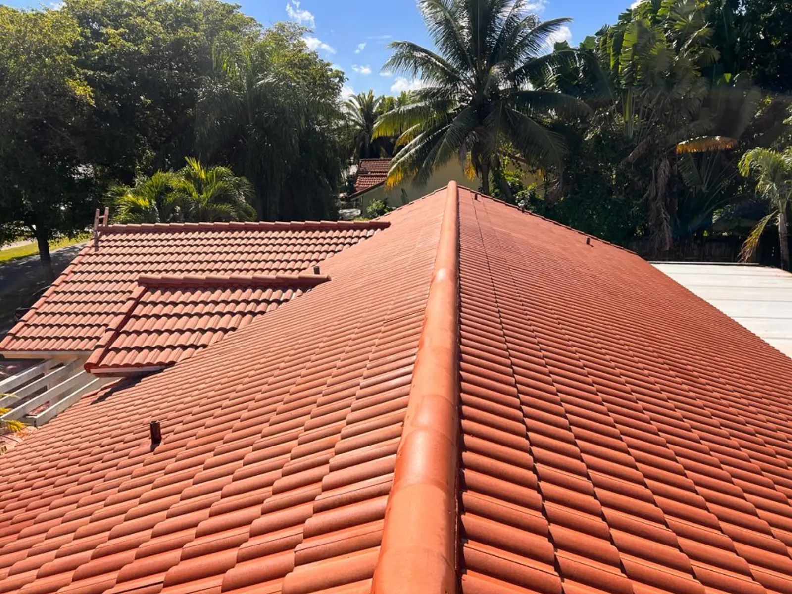 Residential Roof Pressure Washing, pressure washing project photo 9