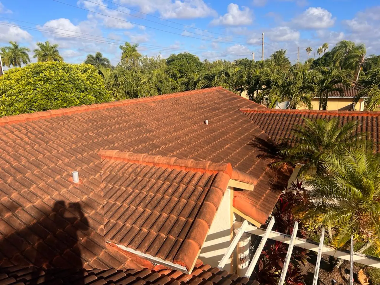 Residential Roof Pressure Washing, pressure washing project photo 10