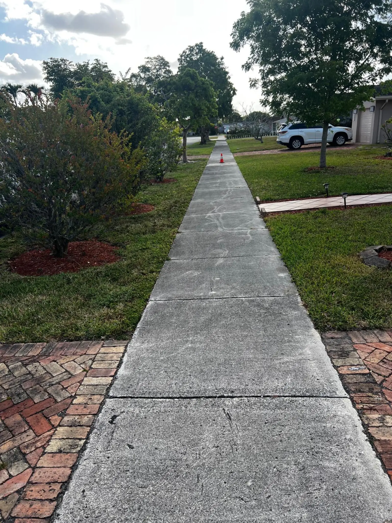 Residential Sidewalk Pressure Washing, pressure washing project photo 2