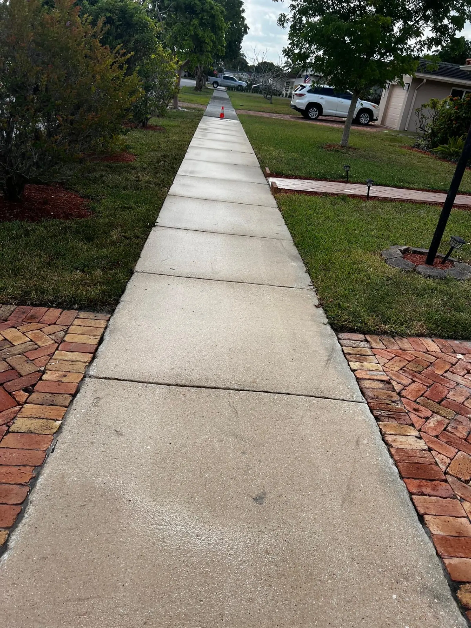 Residential sidewalk pressure washing and concrete cleaning project