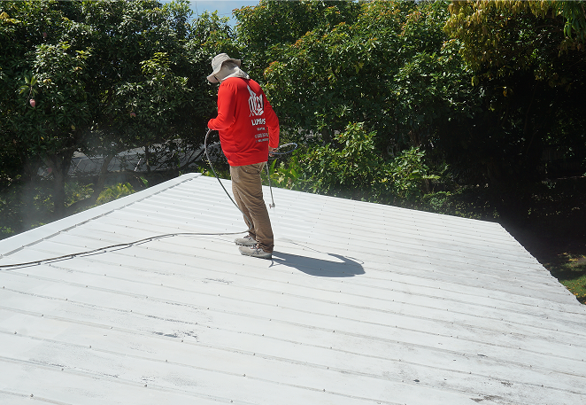 Roof exterior painting - Exterior Painting Services