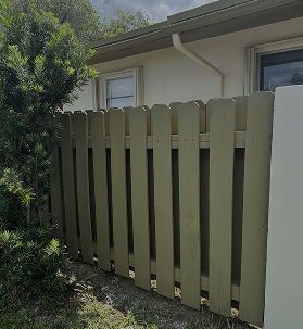 Top-quality paints and materials - Painting Services